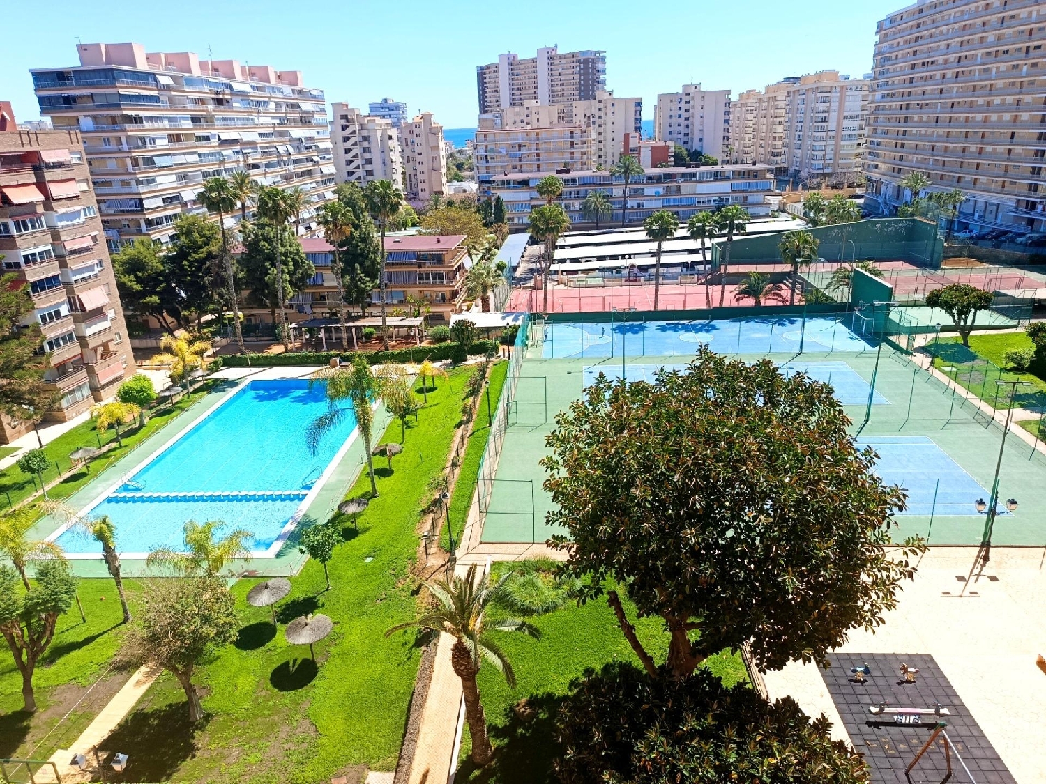  kaufen Wohnung Alicante Centro 03001 Alacantí 1
