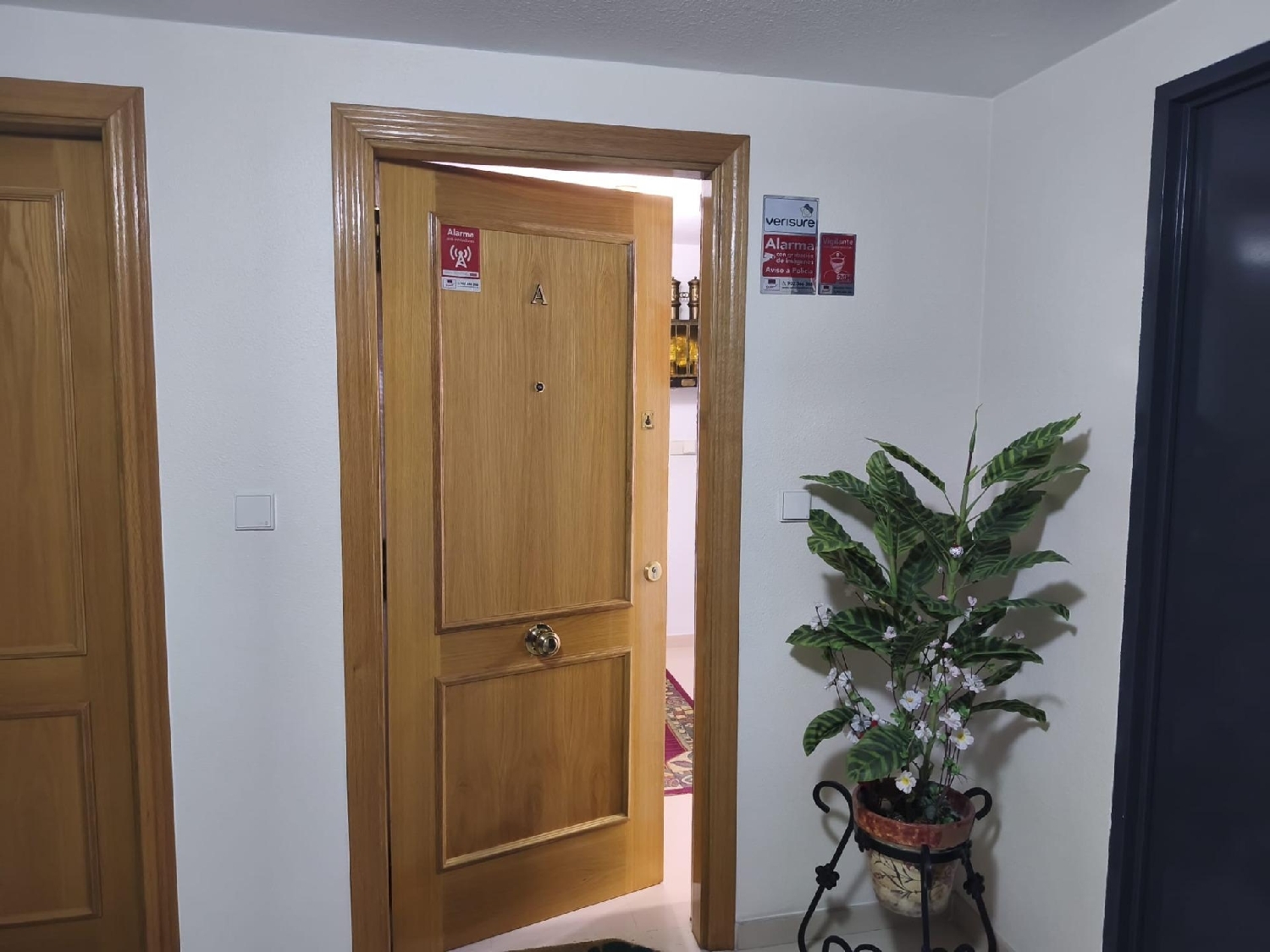  te koop appartement Alicante Centro 03001 Alacantí 5