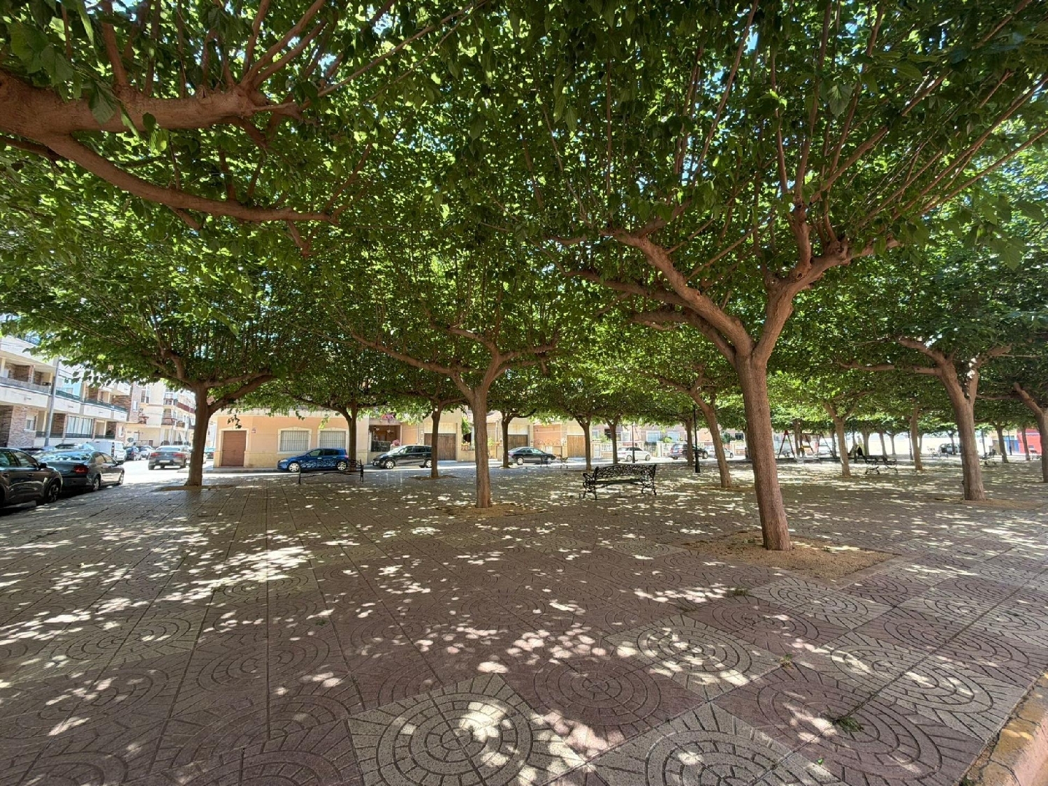  en venta apartamento Almoradí Baix Segura 2