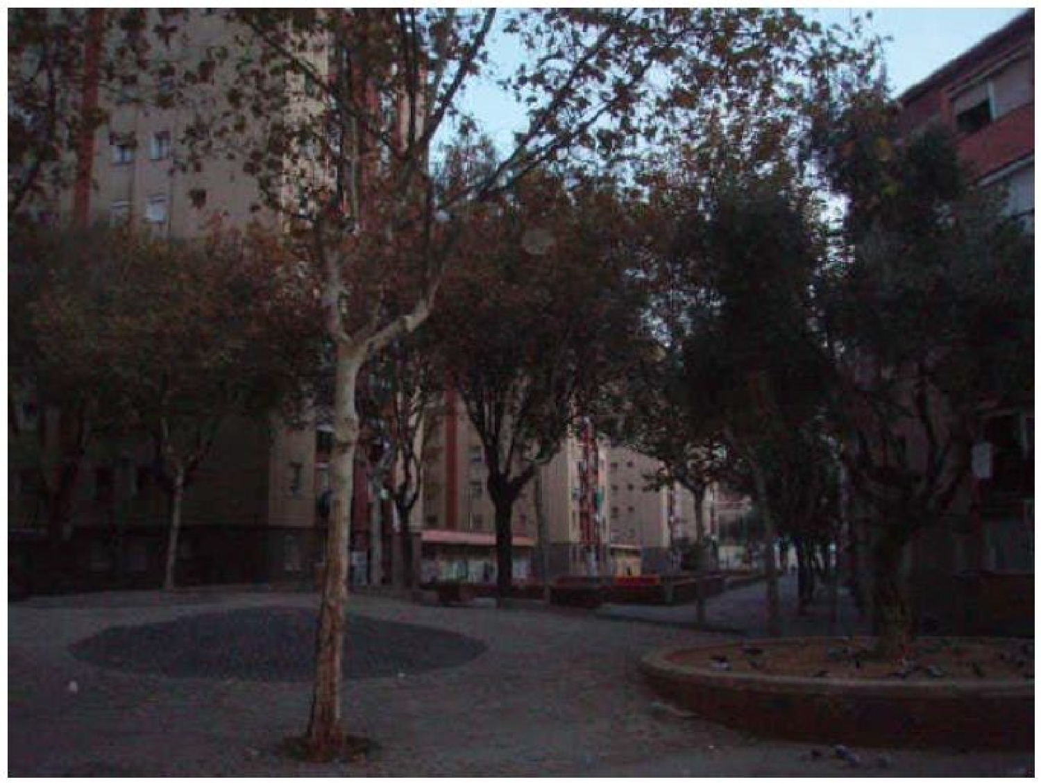  kaufen Wohnung Badalona Centro 08912 Barcelonès 2