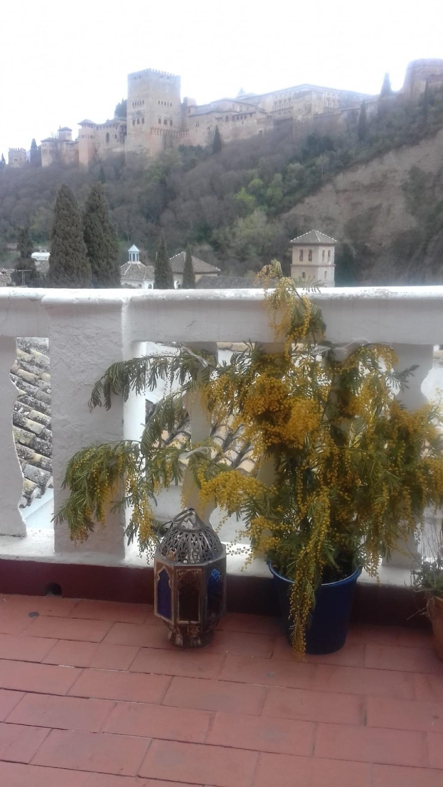  à vendre appartement Barrio De Granada Alacantí 1