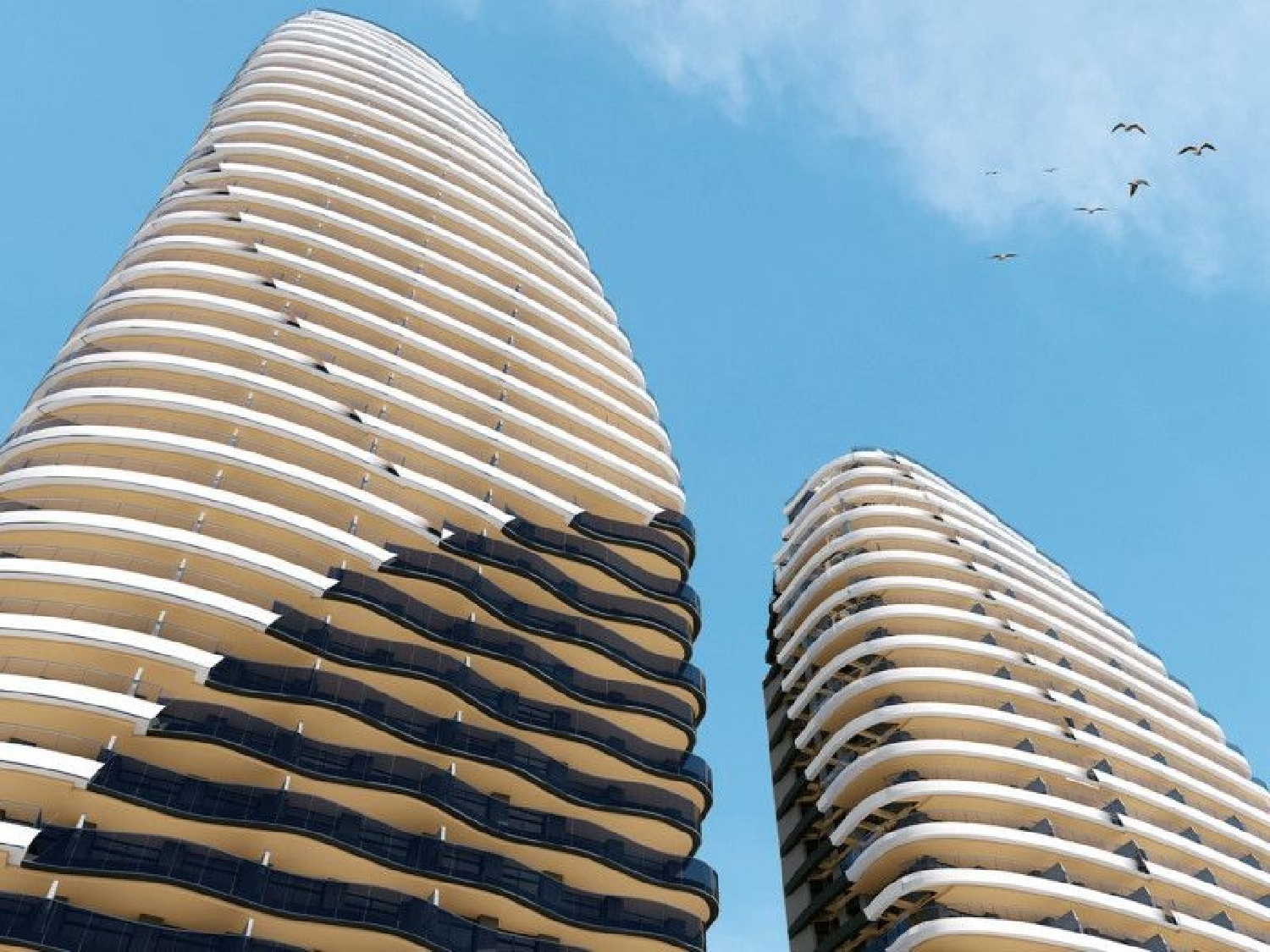  kaufen Wohnung Benidorm (Centro) Marina Baixa 5