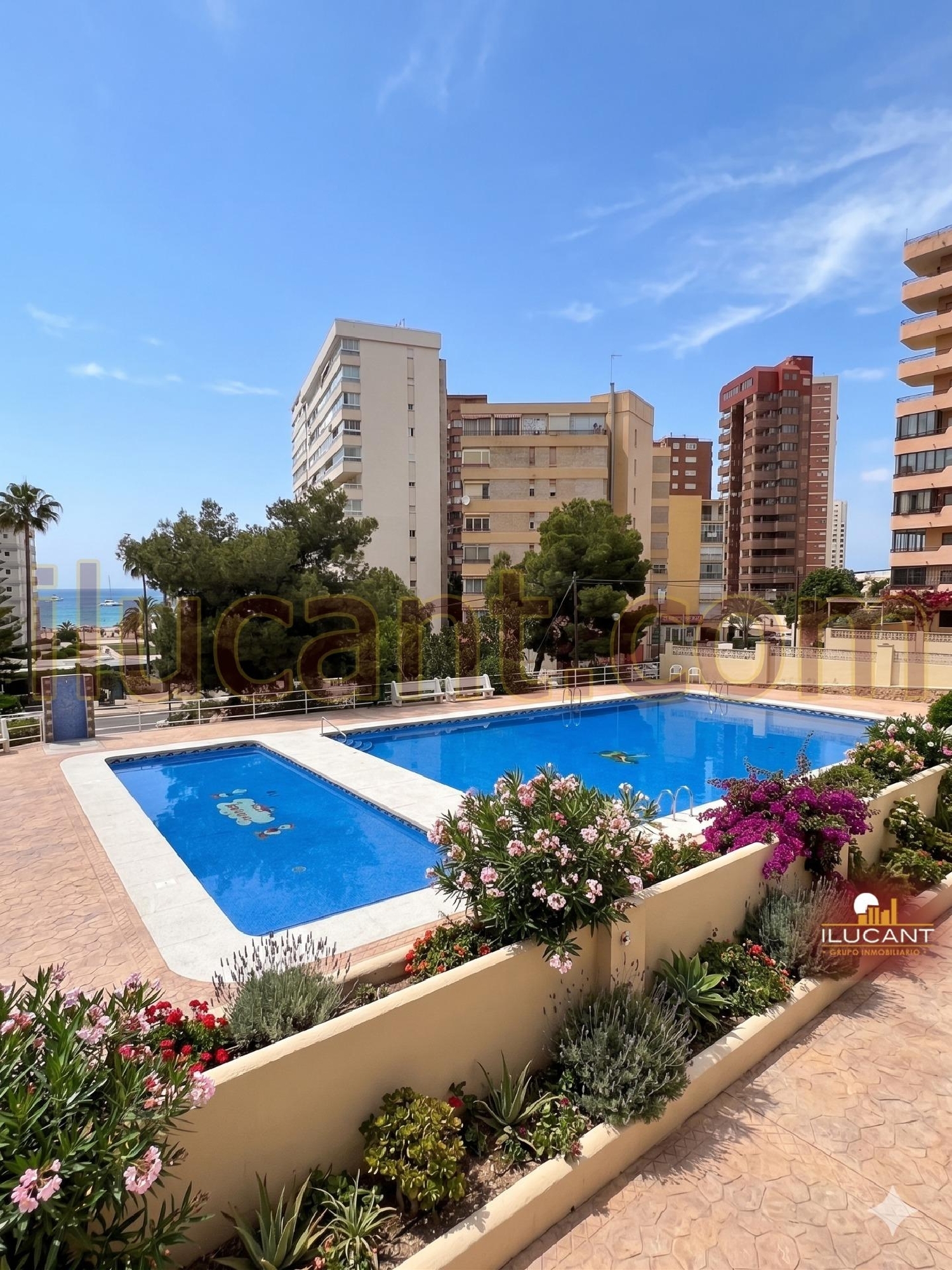  en venta apartamento Benidorm (Centro) Marina Baixa 1