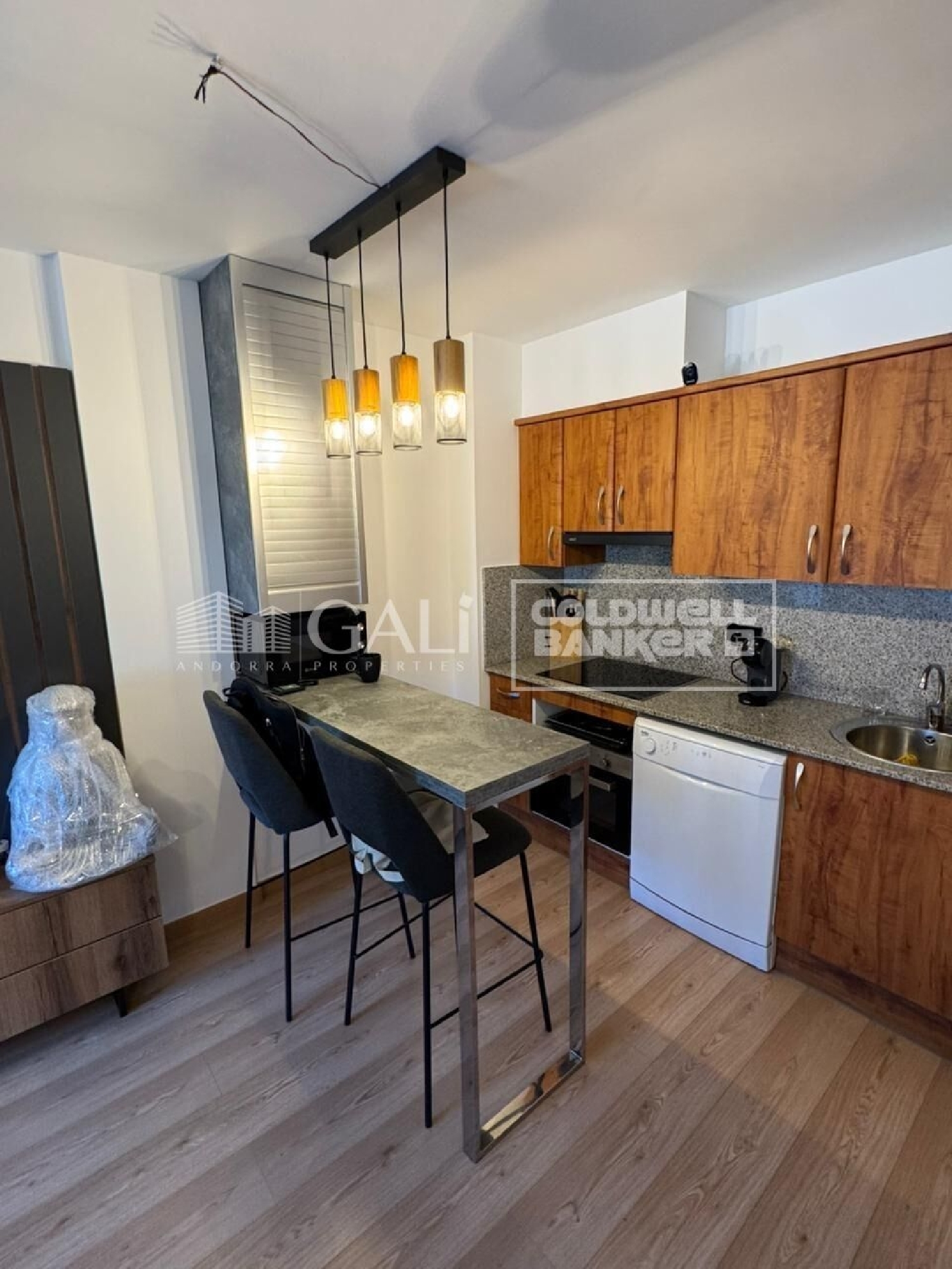  en venta apartamento Canillo Canillo 4