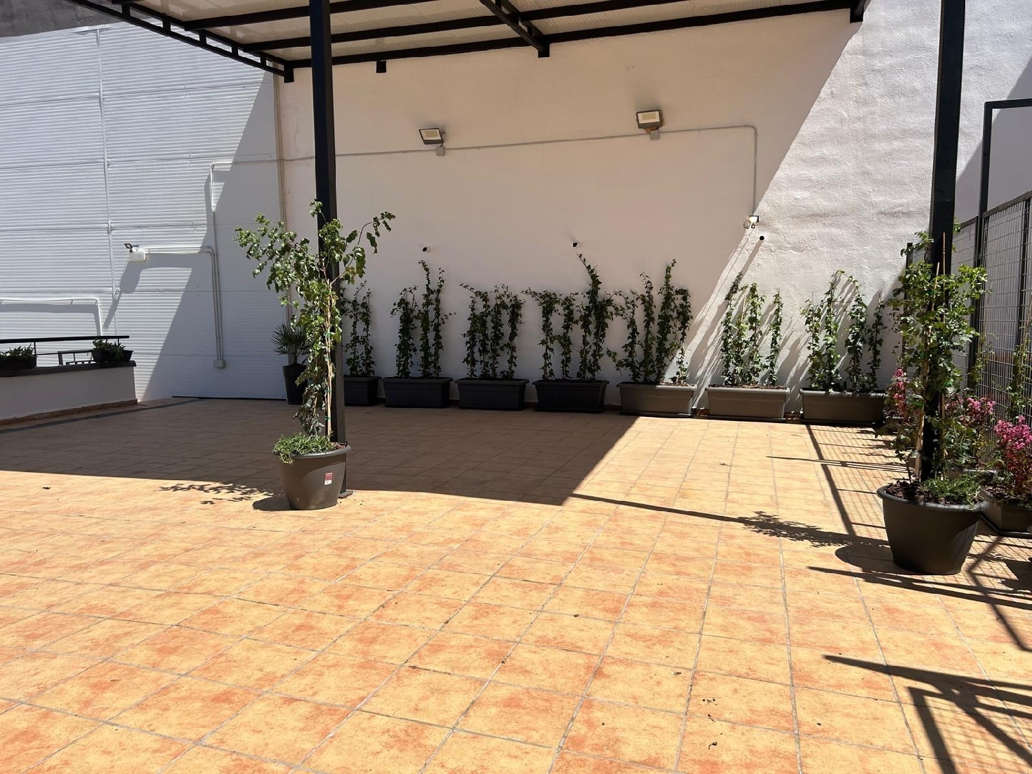 for sale apartment Cenes De La Vega Vega De Granada 3