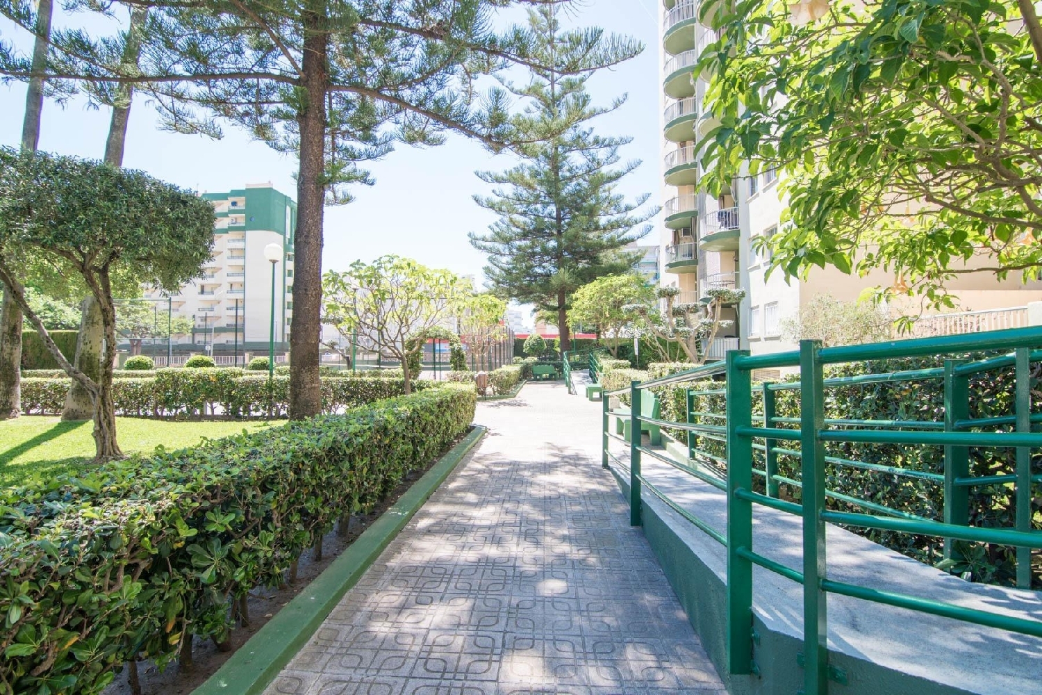  en venta apartamento Gandía 46701 Safor 3