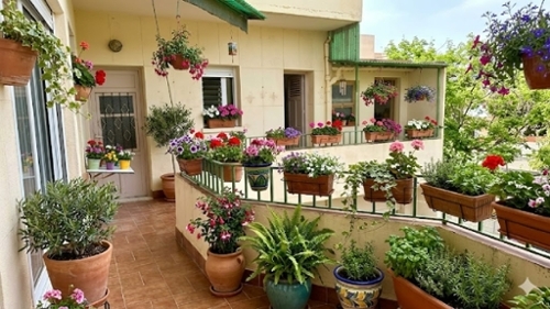 Lo Cartagena Baix Segura apartment foto 6380046