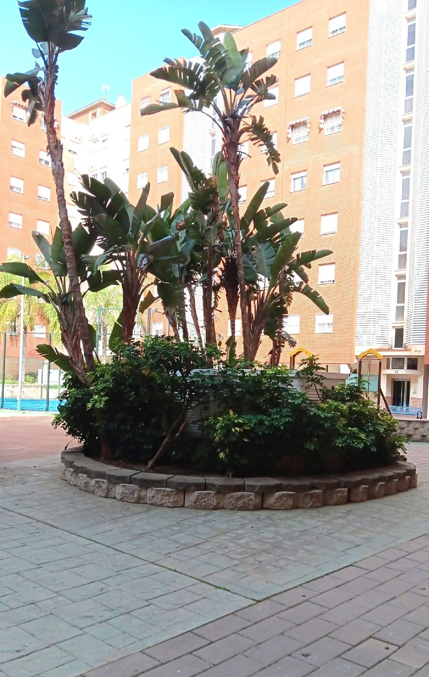  till salu lägenhet Málaga Del Fresno Campiña 3