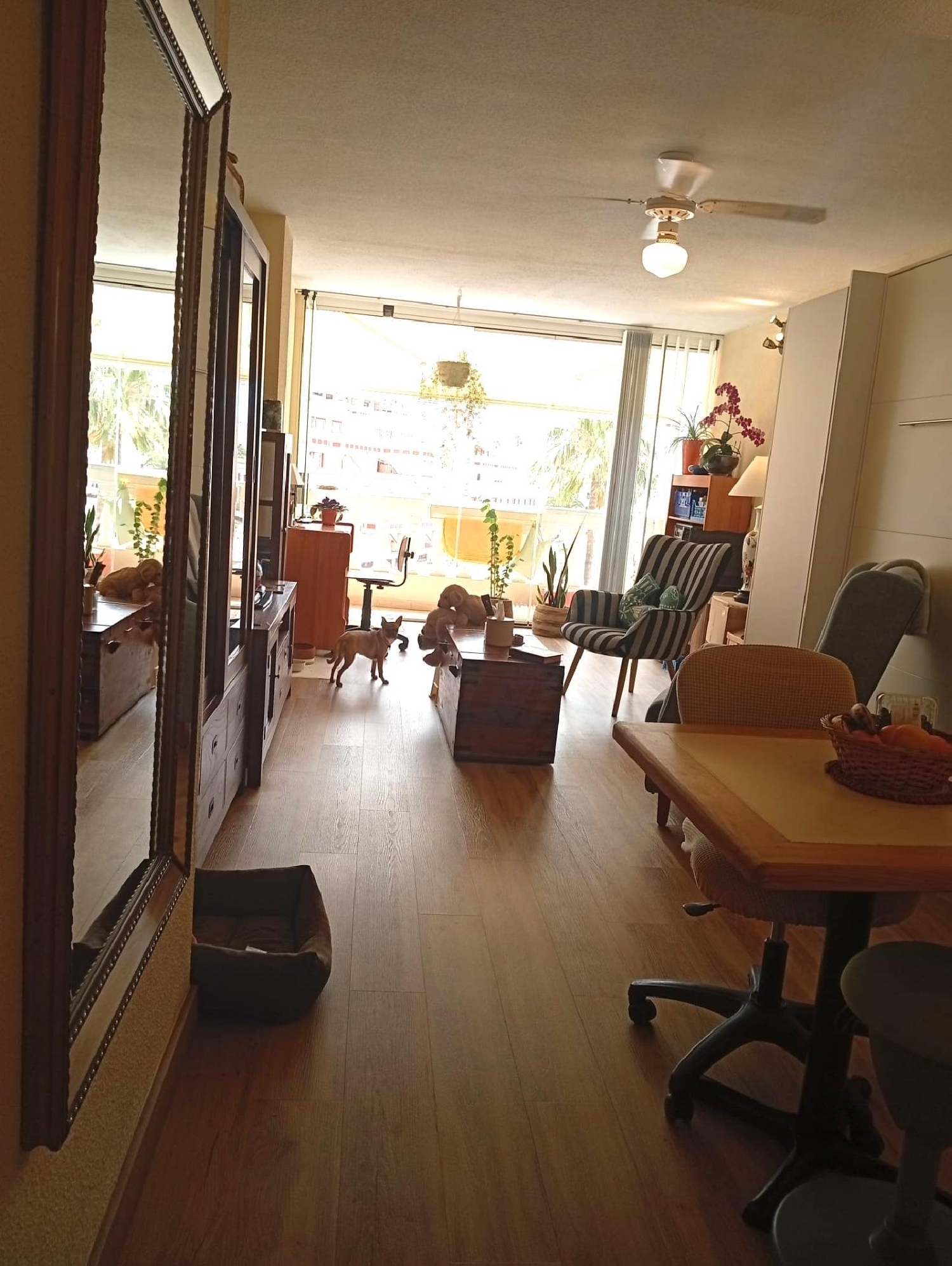  for sale apartment Maroñas Noya 7