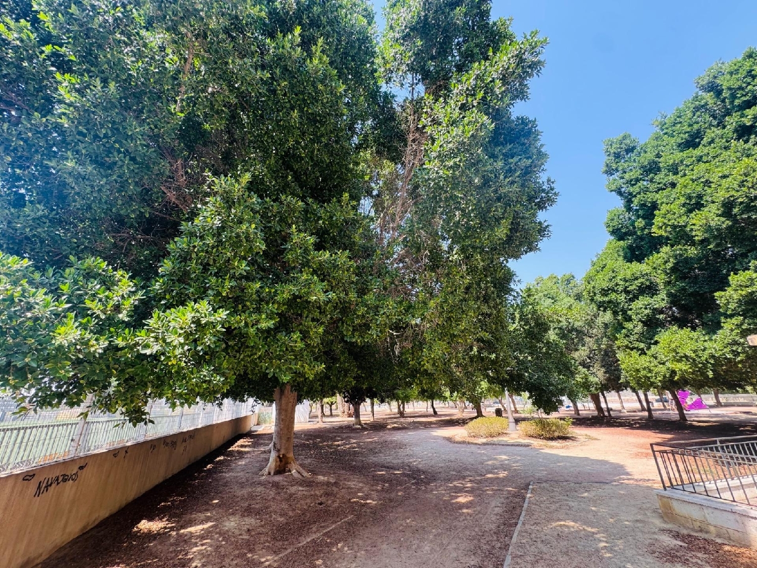  en venta apartamento Orihuela Baix Segura 7