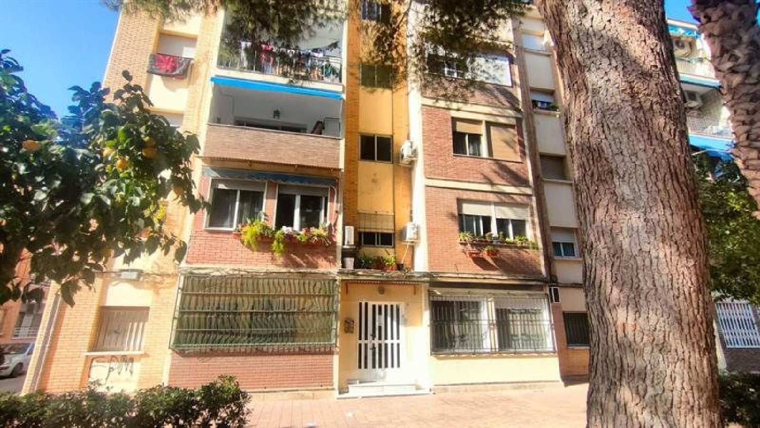  en venta apartamento Orihuela Baix Segura 1