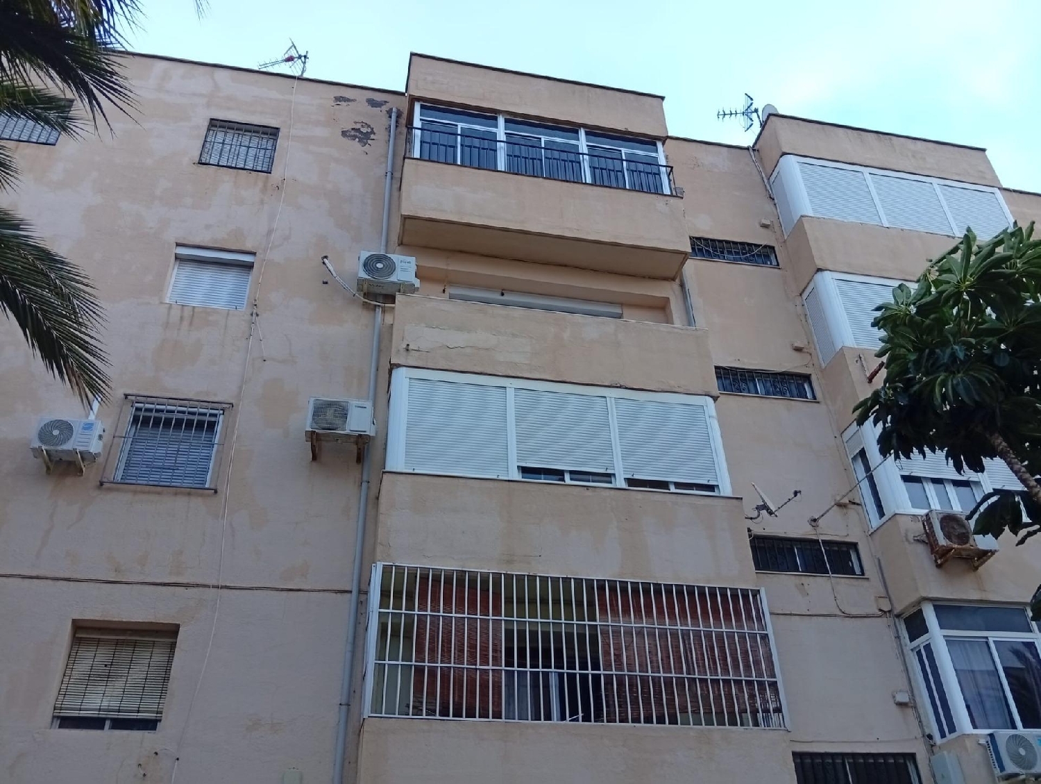  kaufen Wohnung Palmeria Marina Alta 2