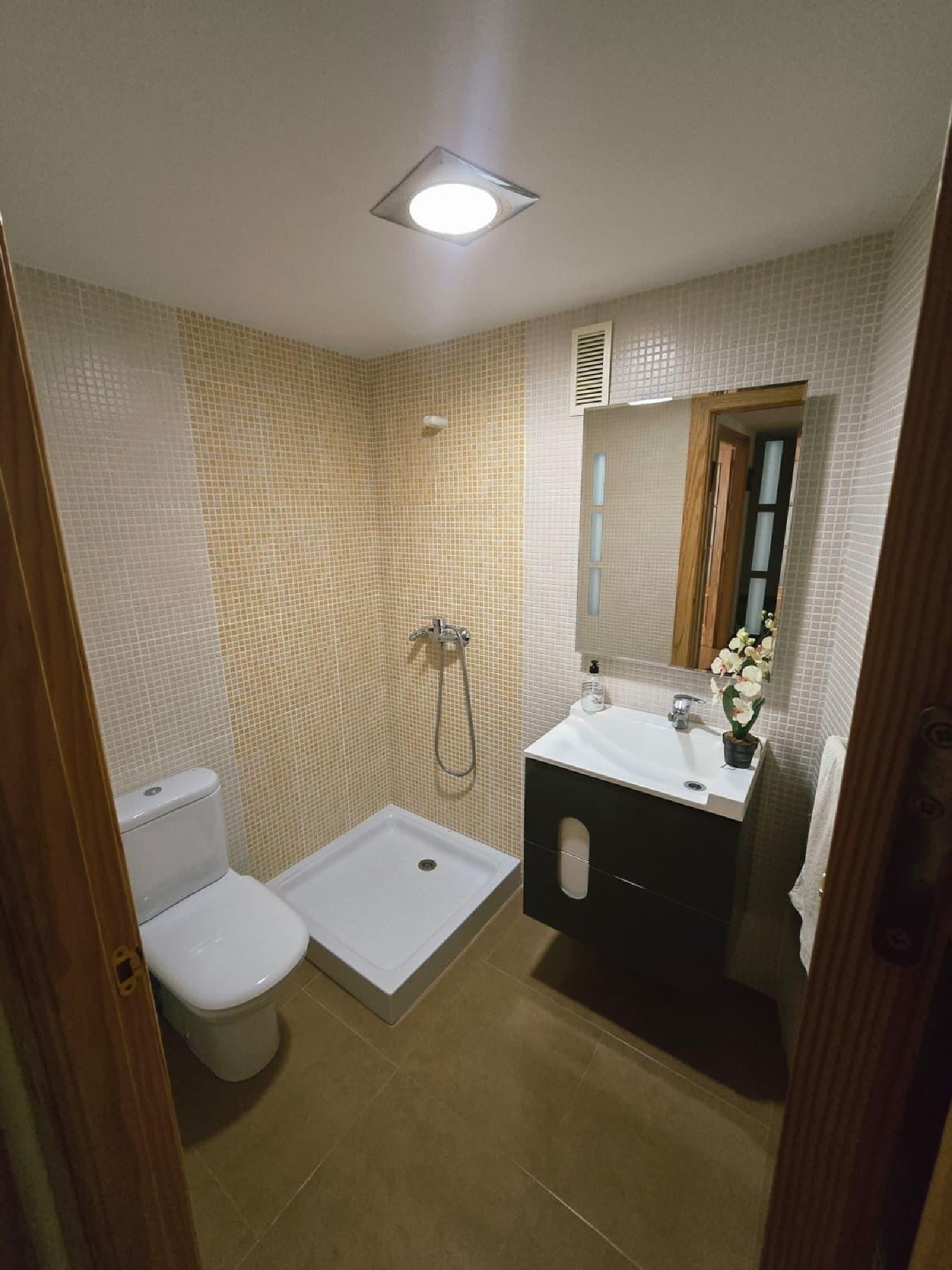 à vendre appartement Porcariza Arzúa 5