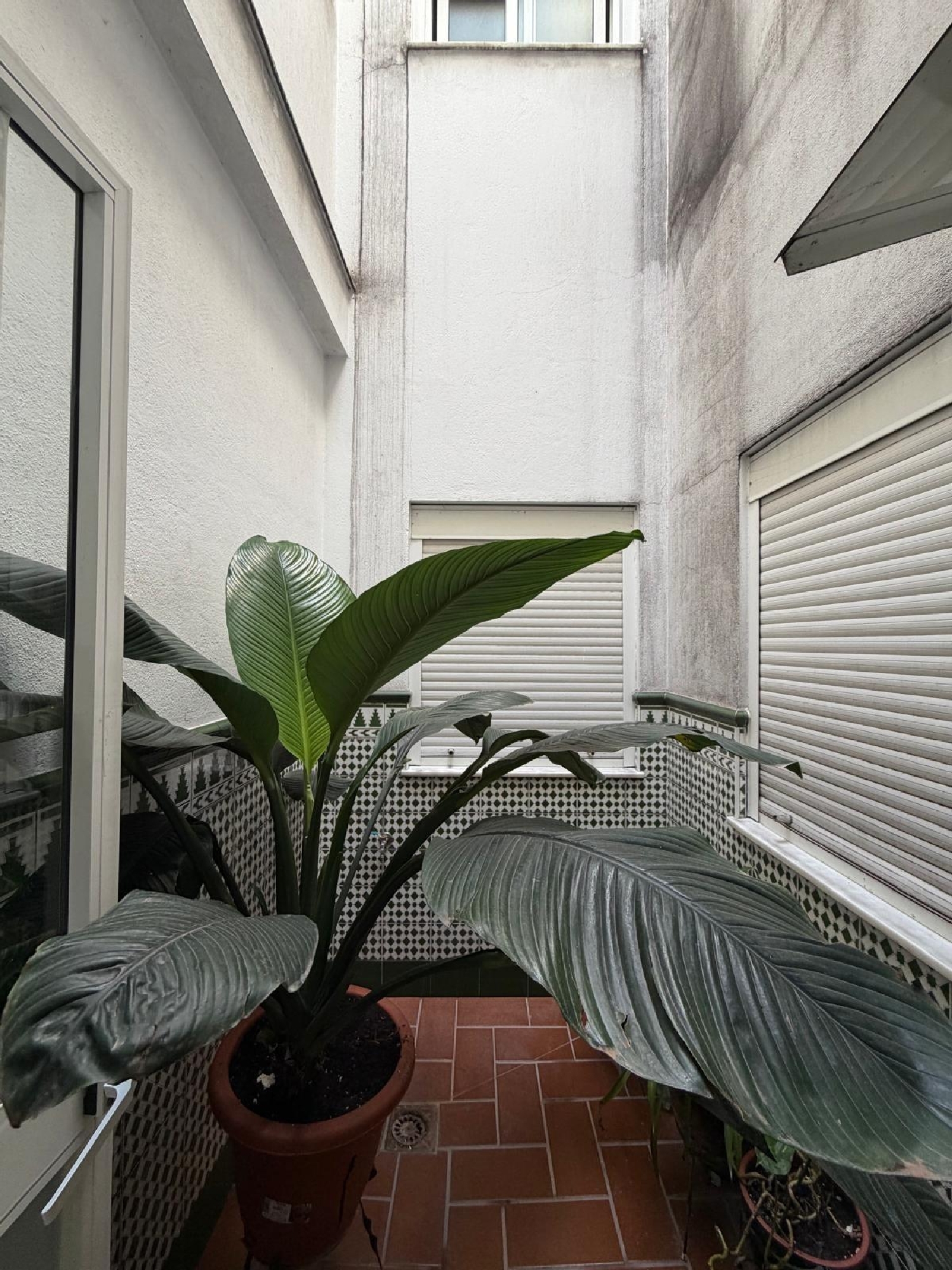 kaufen Wohnung Prado Del Rey Sierra De Cádiz 8