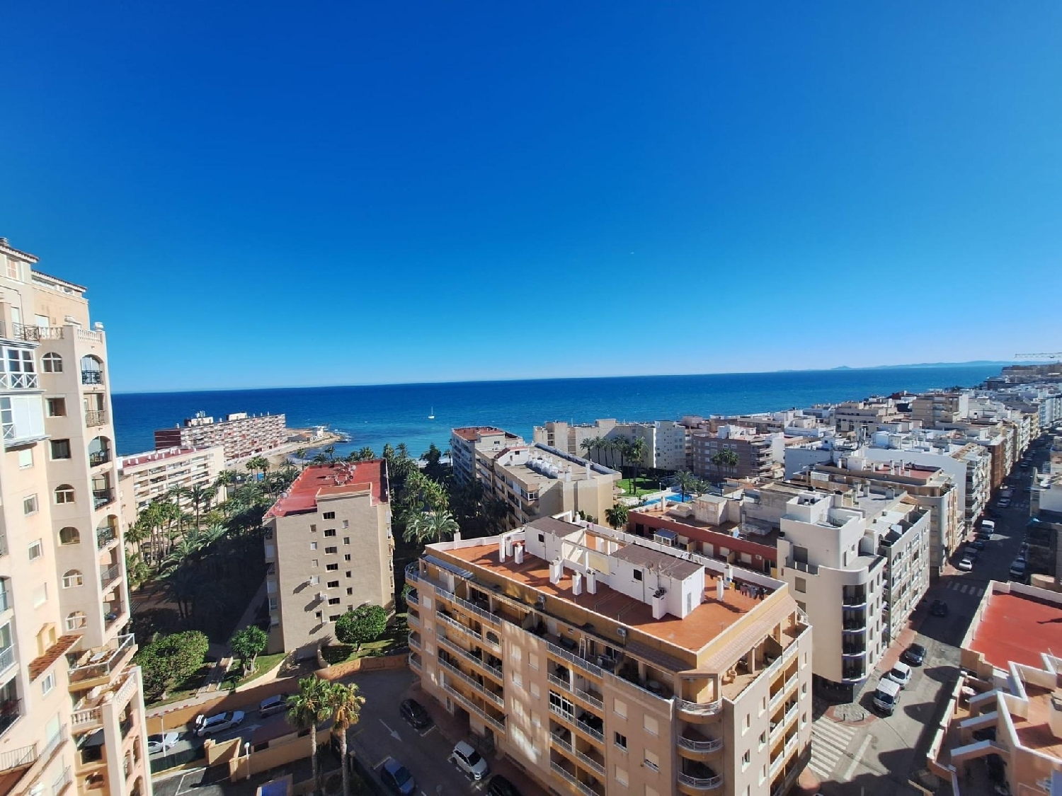  kaufen Wohnung Torrevieja Baix Segura 1