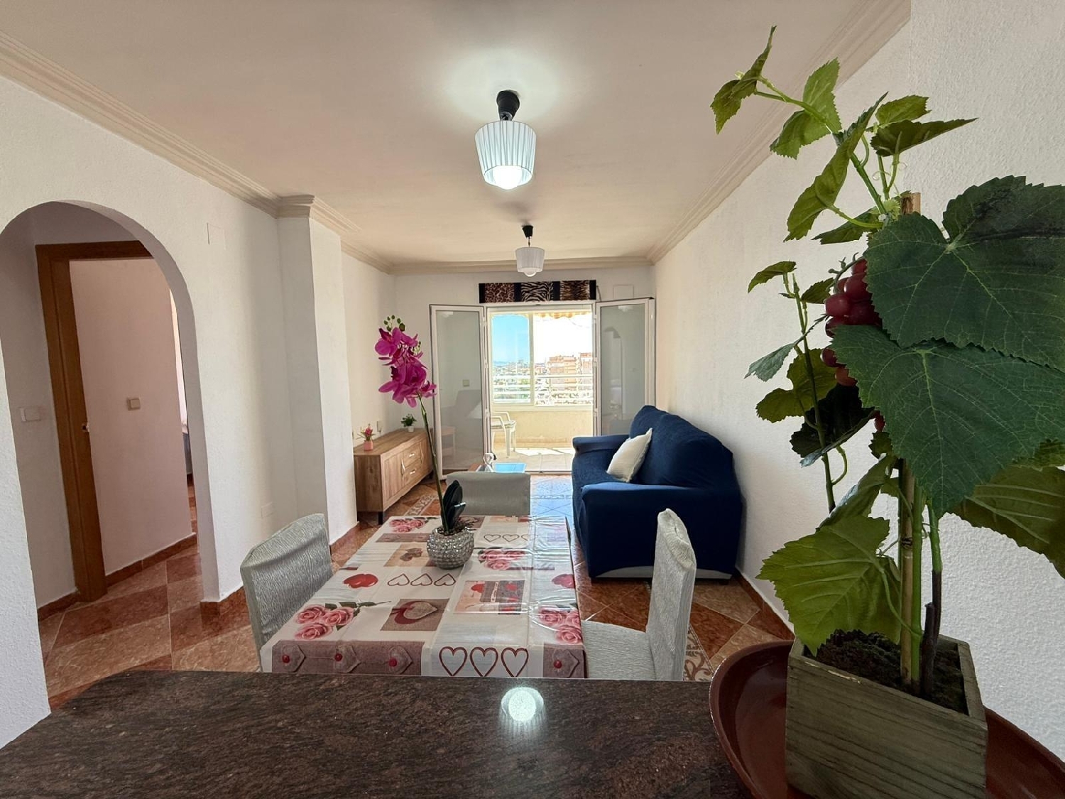 en venta apartamento Torrevieja Baix Segura 5