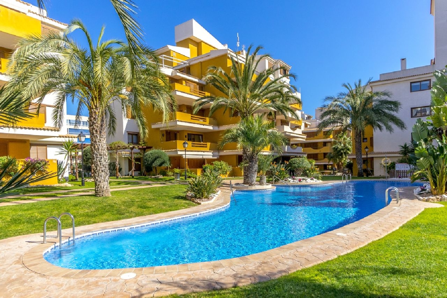  à vendre appartement Torrevieja Baix Segura 1