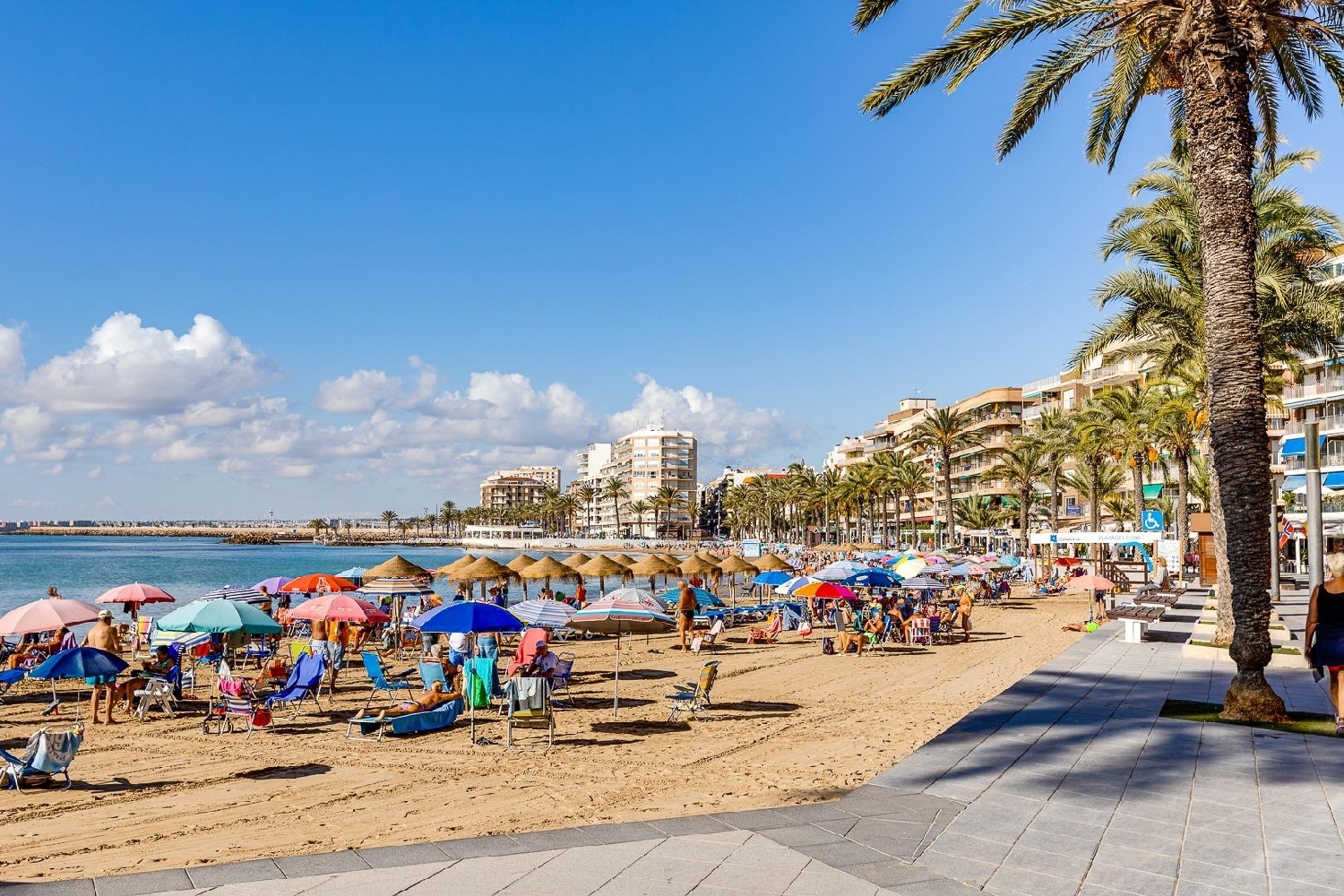 te koop appartement Torrevieja Baix Segura 8