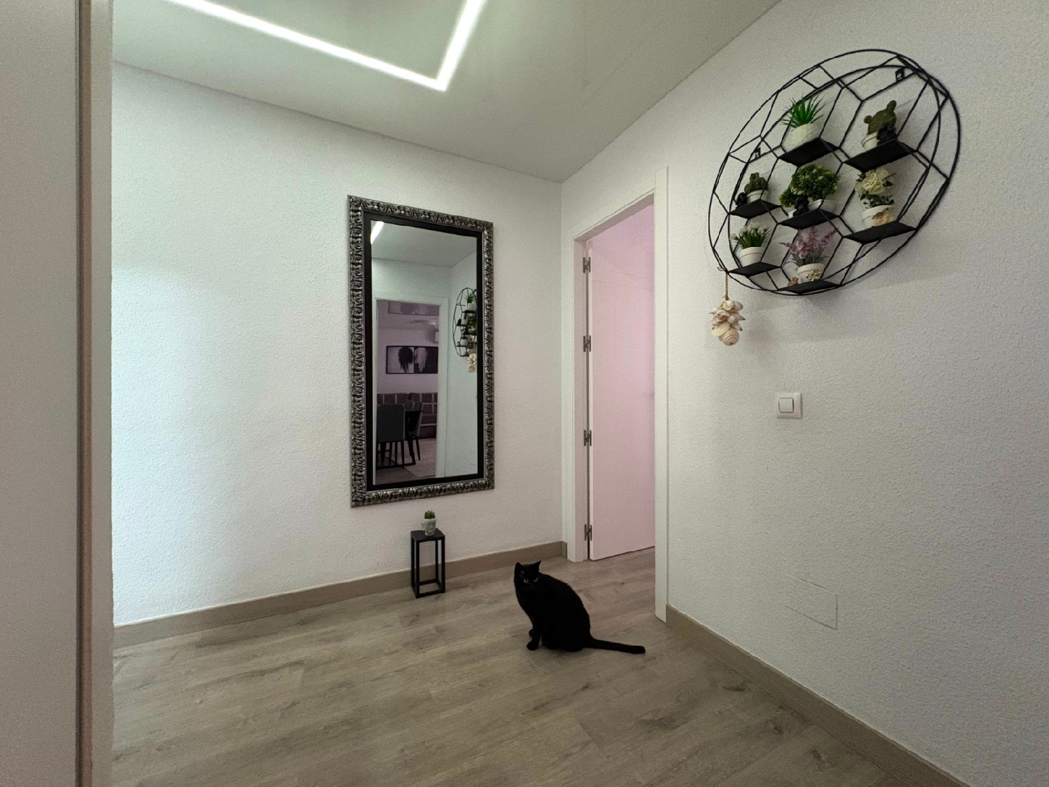  kaufen Wohnung Torrevieja Baix Segura 2