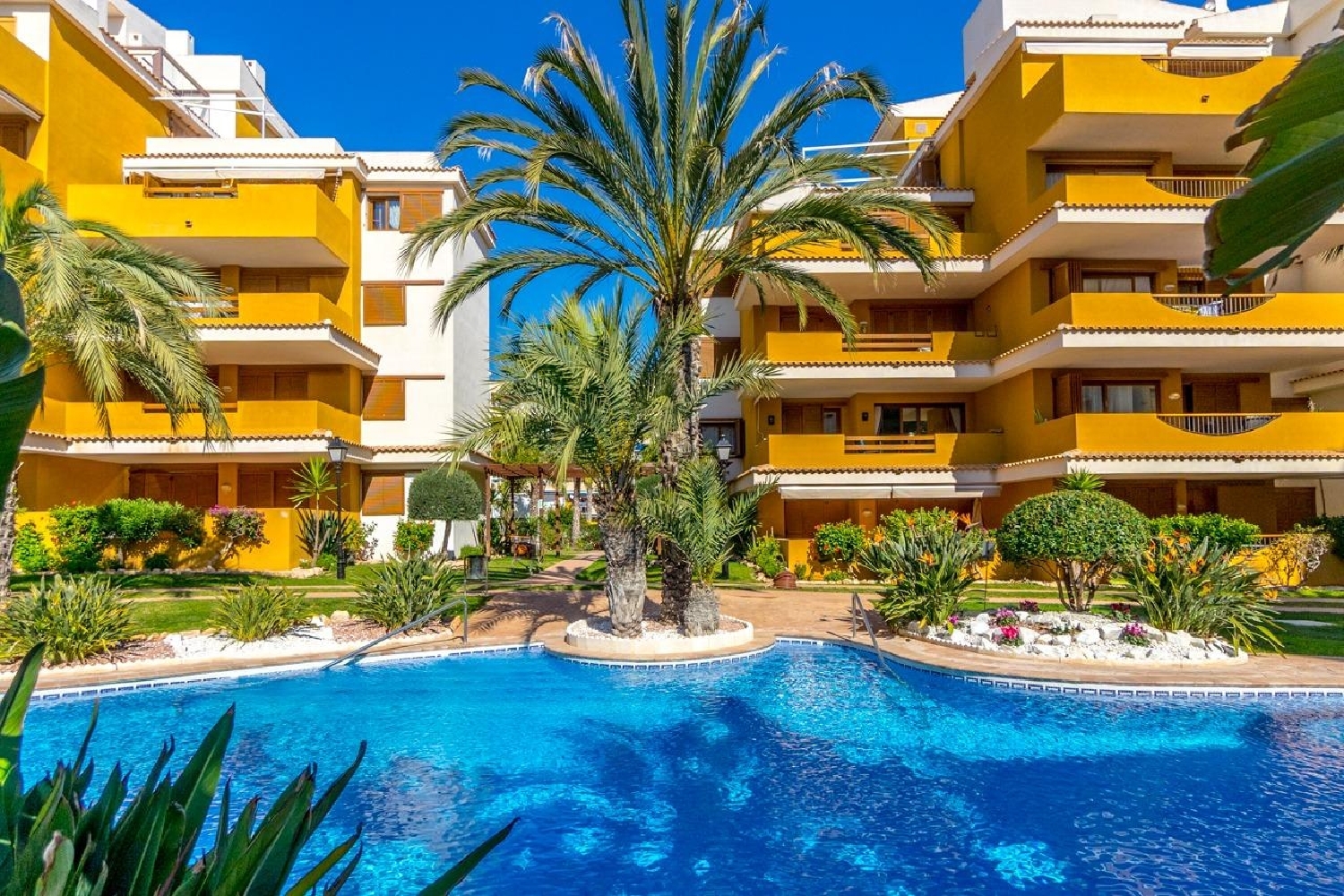  à vendre appartement Torrevieja Baix Segura 1