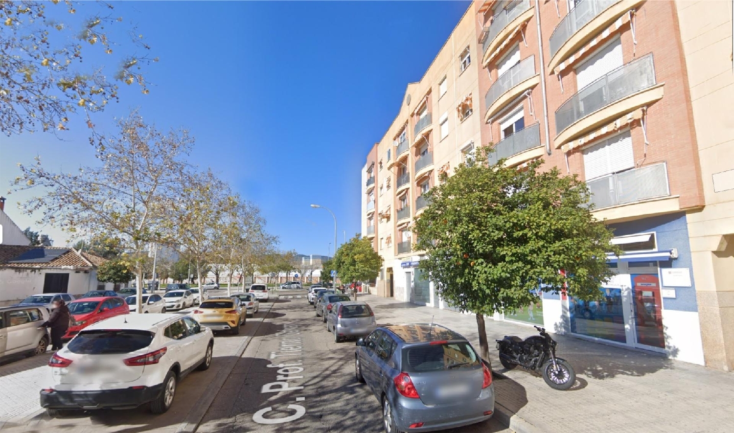 kaufen Wohnung Villafranca De Córdoba Alto Guadalquivir 3