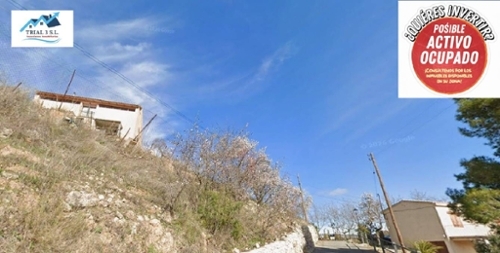 La Figuera Priorat Gewerbeimmobilie Bild 6380629