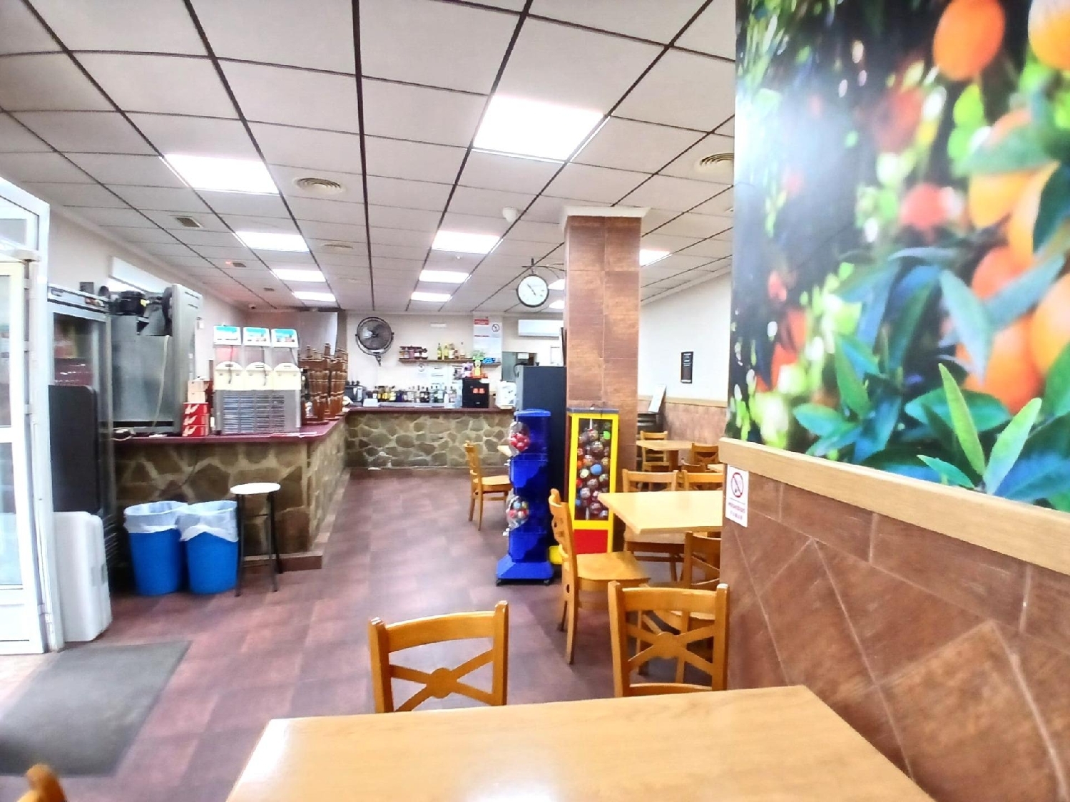  for sale commercial Rafelguaraf Ribera Alta 6