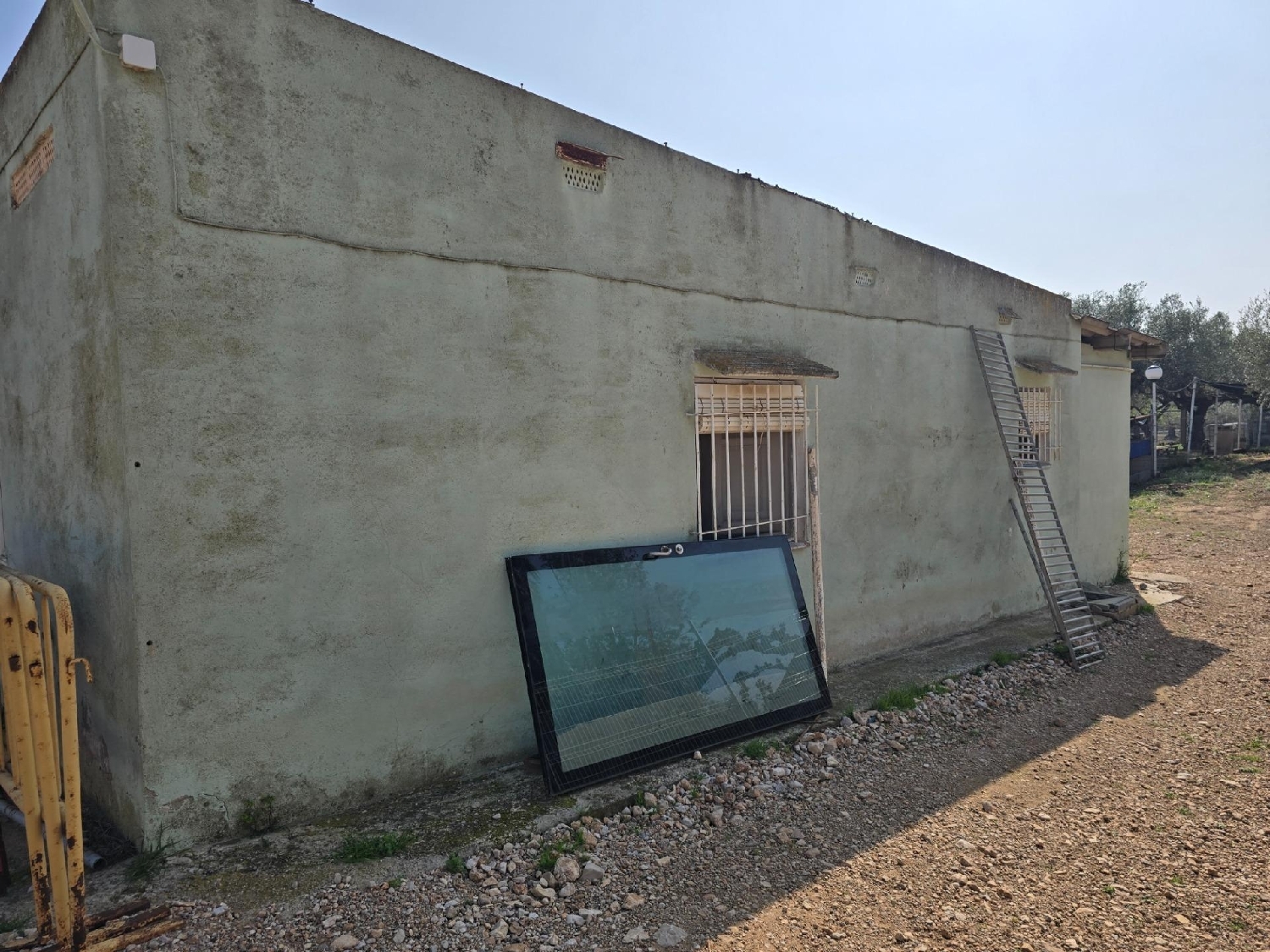  en venta finca rústica Alcanar Montsià 4