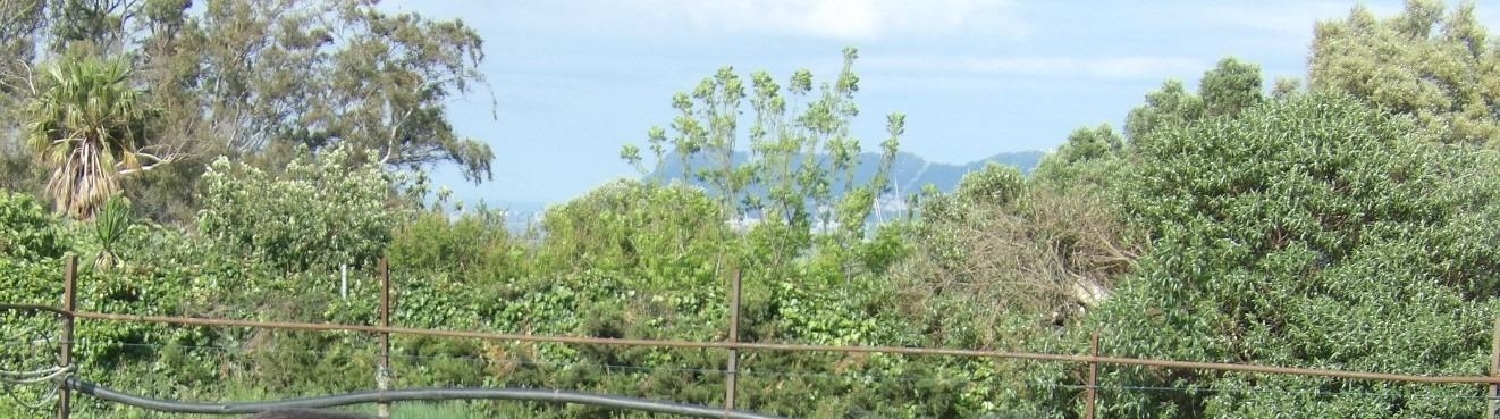  kaufen Landhaus Algeciras Casco Antiguo Campo De Gibraltar 7