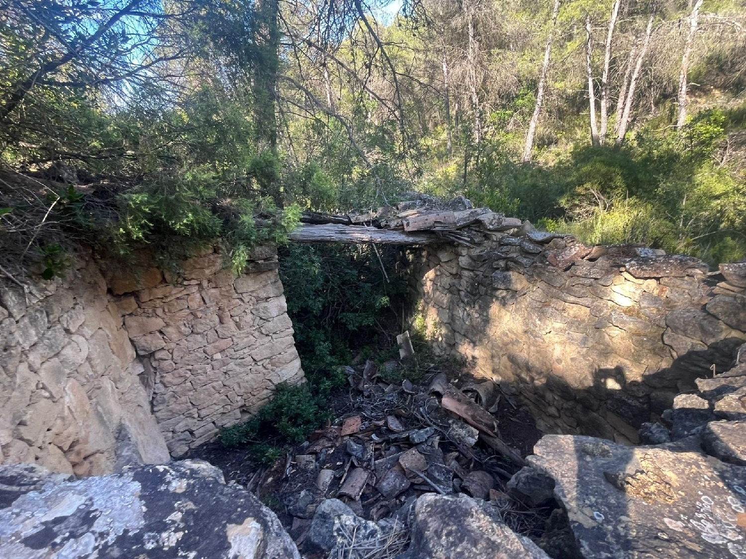 en venta finca rústica Arens De Lledó Matarraña 3