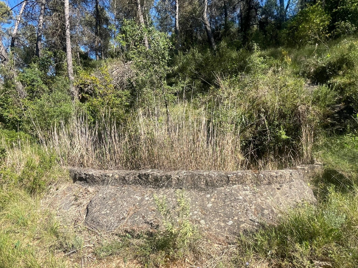 en venta finca rústica Arens De Lledó Matarraña 6