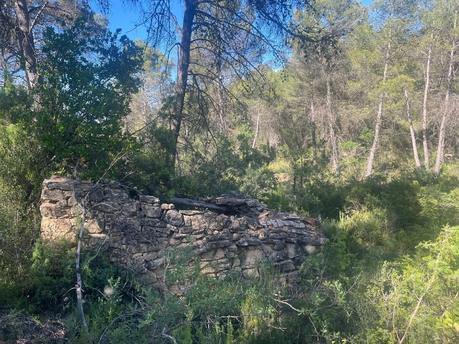 en venta finca rústica Arens De Lledó Matarraña 2