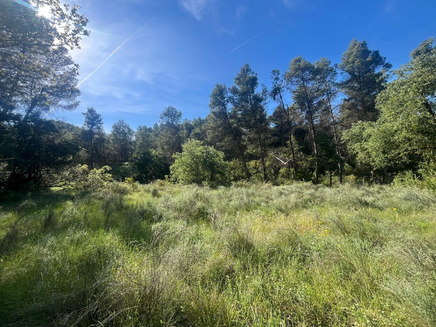 en venta finca rústica Arens De Lledó Matarraña 5
