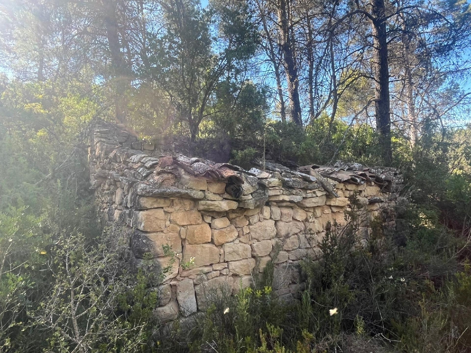 en venta finca rústica Arens De Lledó Matarraña 1