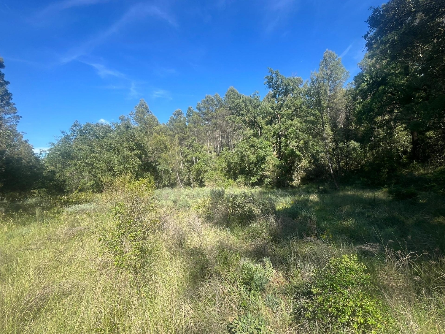en venta finca rústica Arens De Lledó Matarraña 4