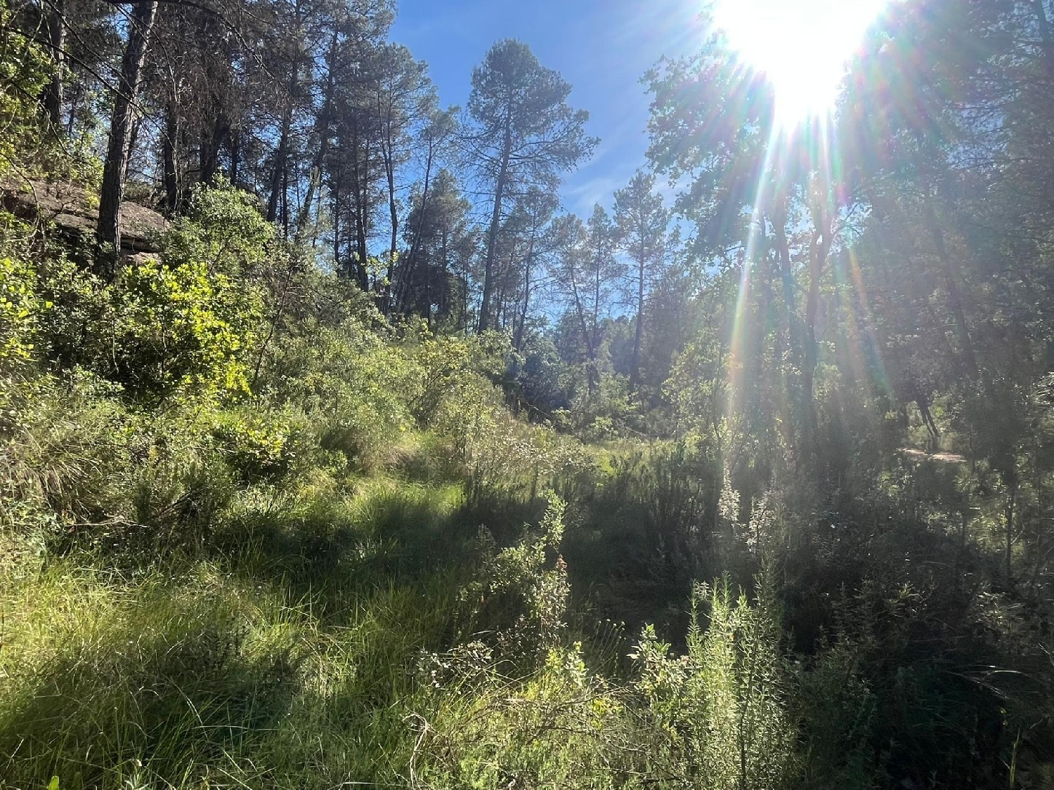 en venta finca rústica Arens De Lledó Matarraña 7