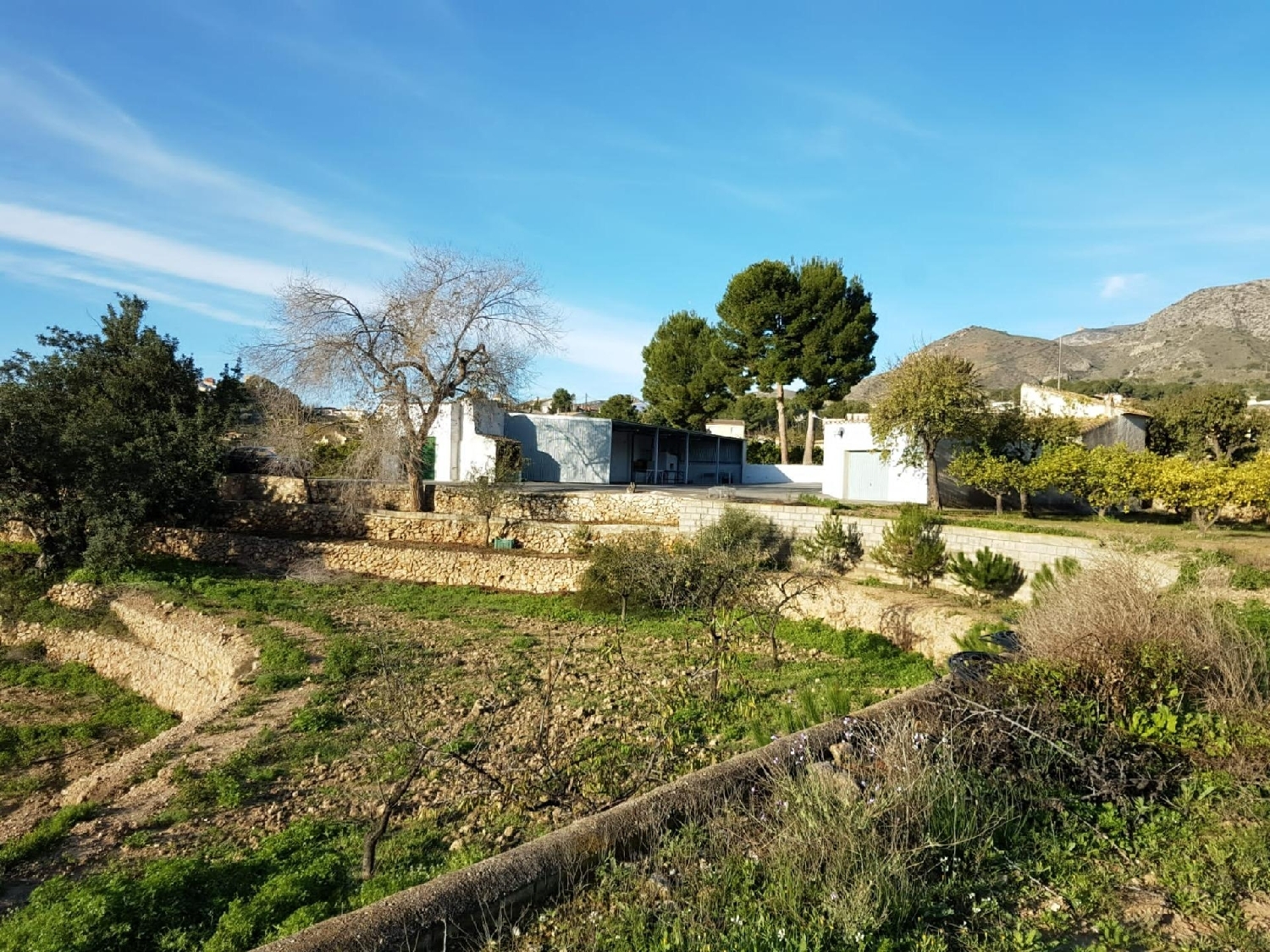  till salu hus på landet Barraca D'aigues Vives Ribera Alta 6