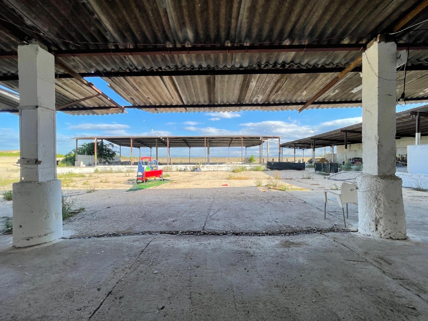  en venta finca rústica Benimodo Ribera Alta 3