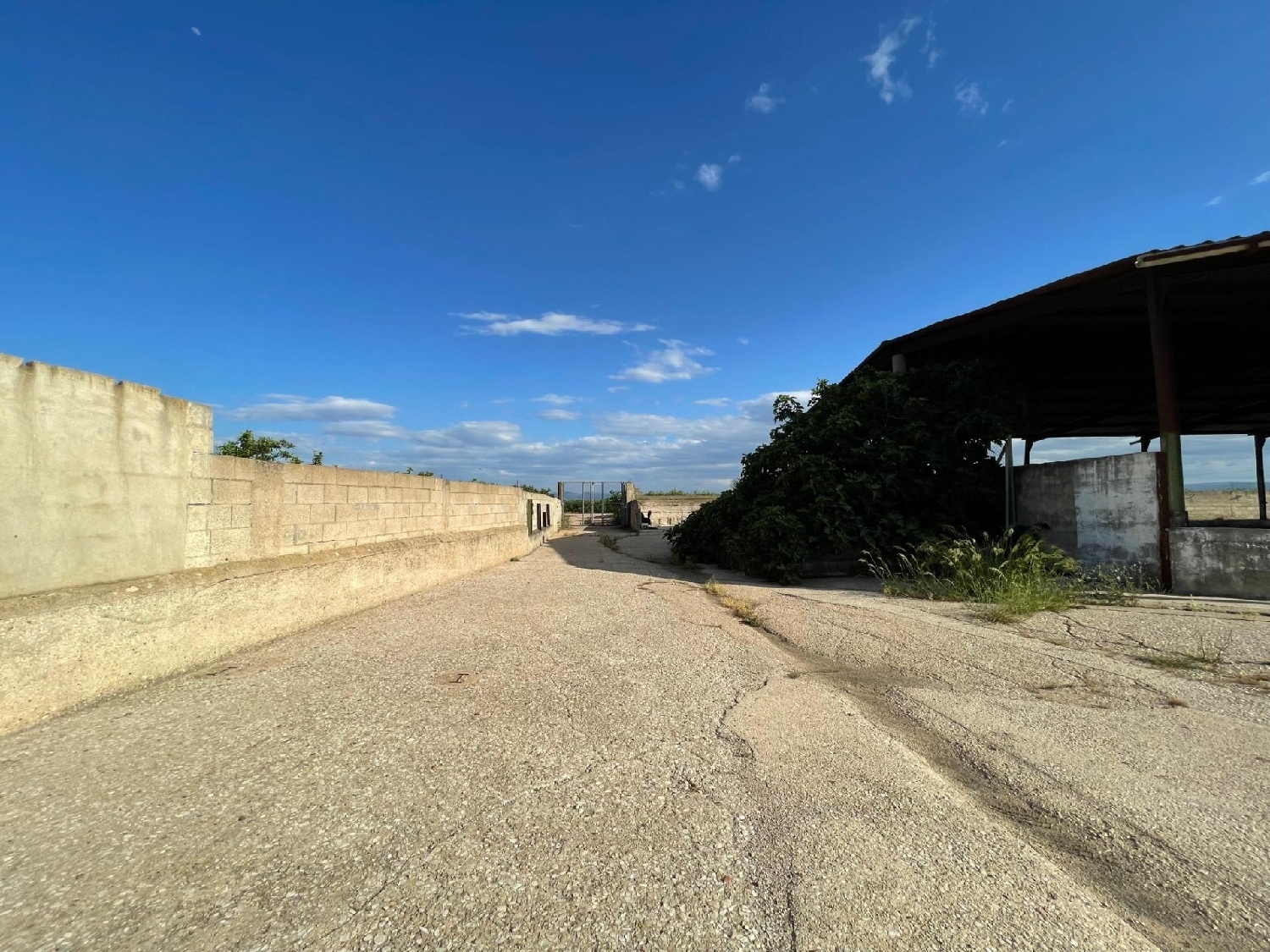  en venta finca rústica Benimodo Ribera Alta 7