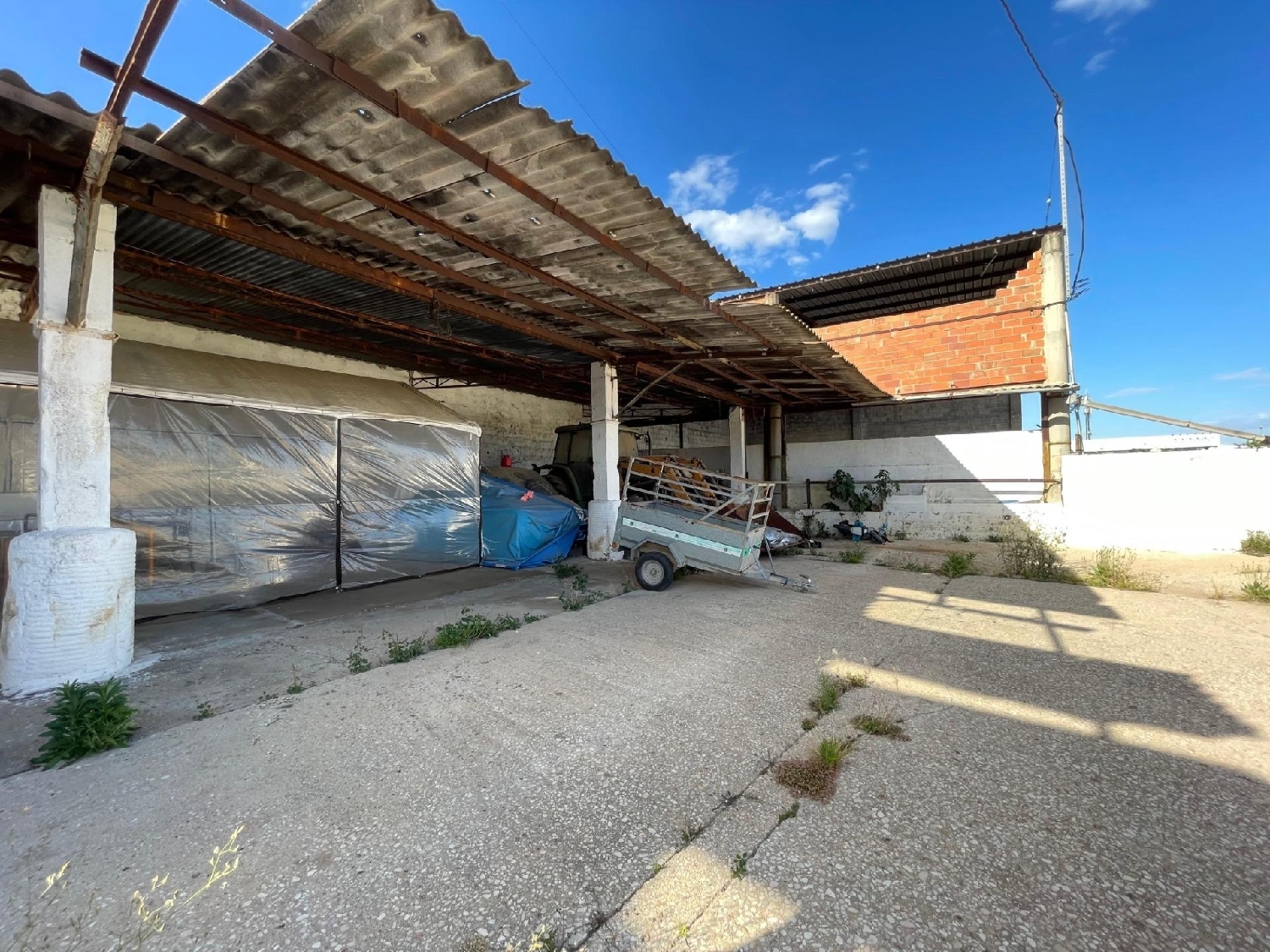  en venta finca rústica Benimodo Ribera Alta 2