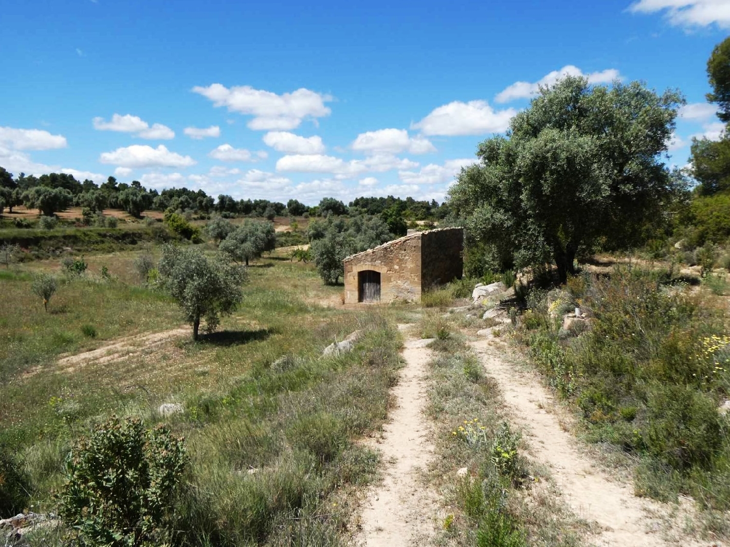  for sale country house Calaceite Matarraña 4