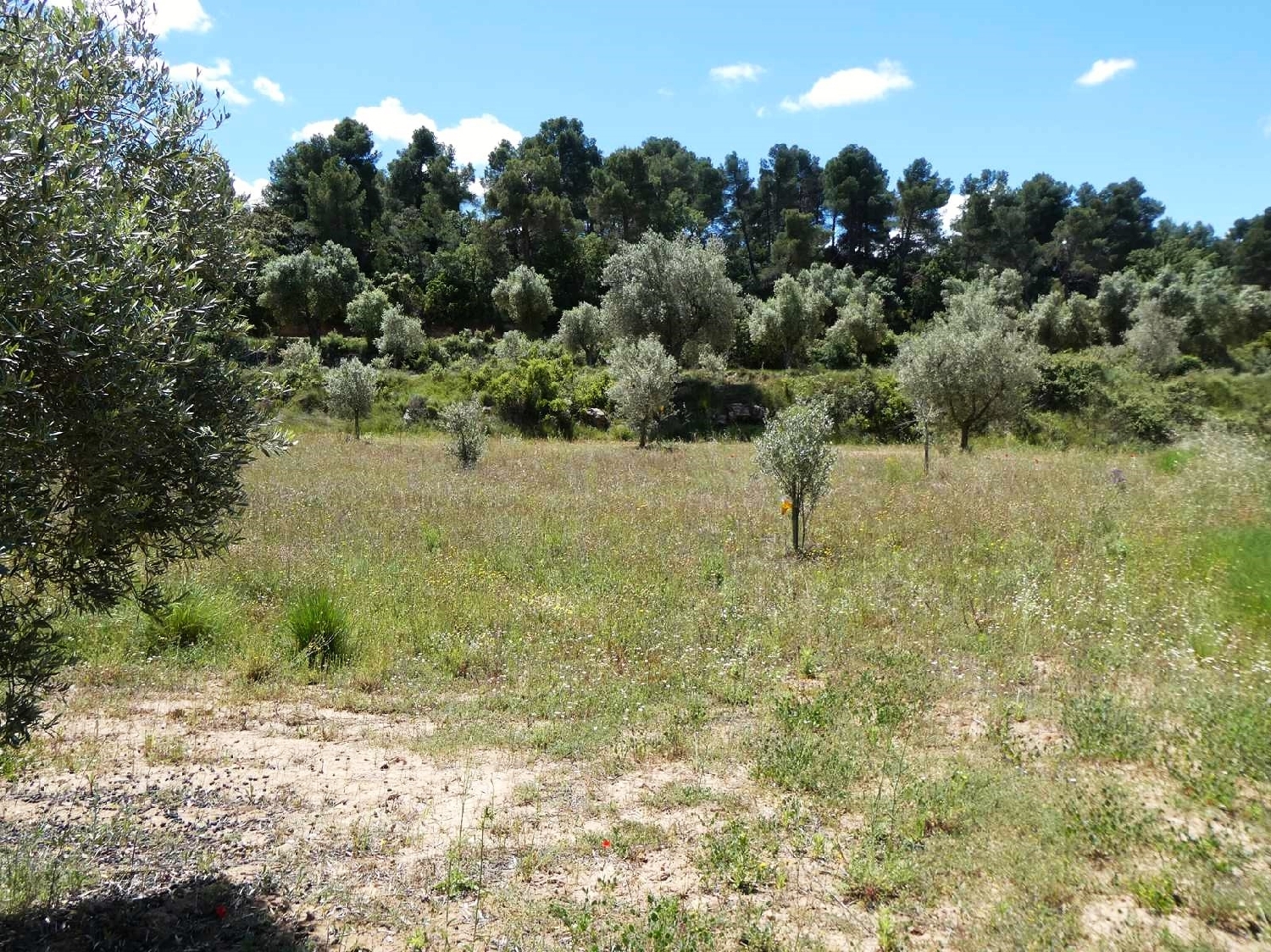  for sale country house Calaceite Matarraña 5
