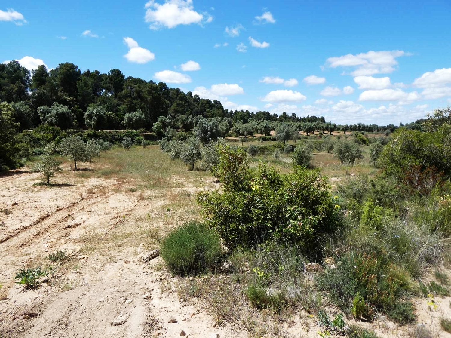  for sale country house Calaceite Matarraña 2
