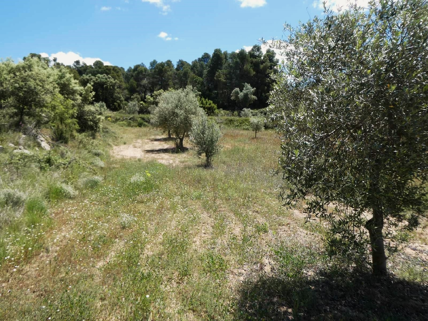  for sale country house Calaceite Matarraña 6