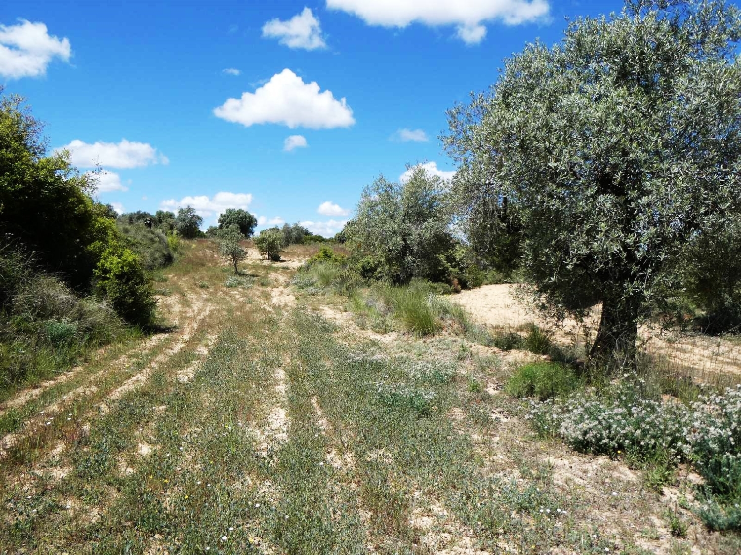  for sale country house Calaceite Matarraña 15