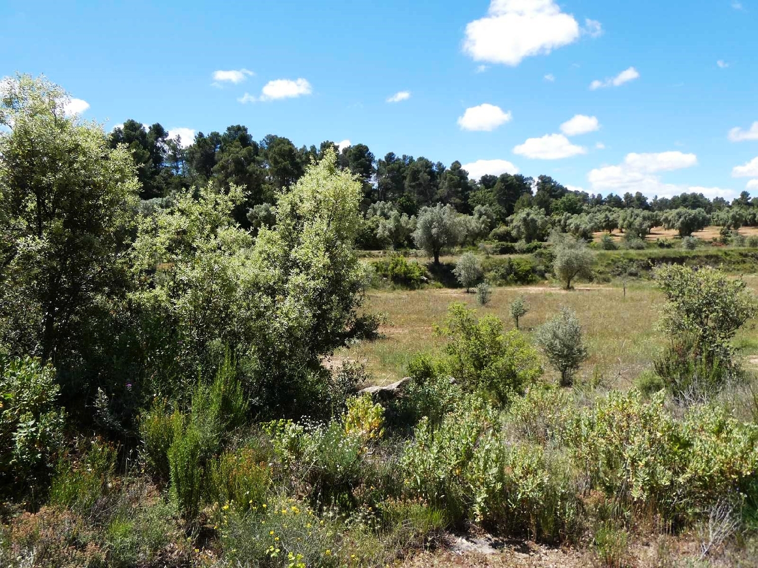  for sale country house Calaceite Matarraña 3