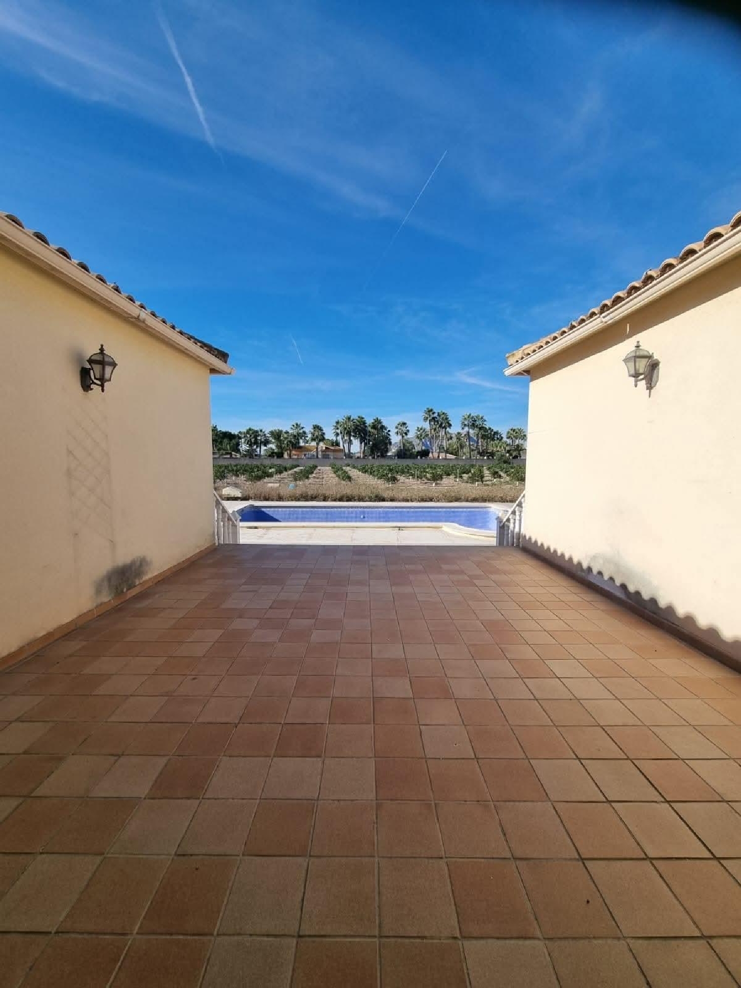 te koop boerderij Catral Baix Segura 4