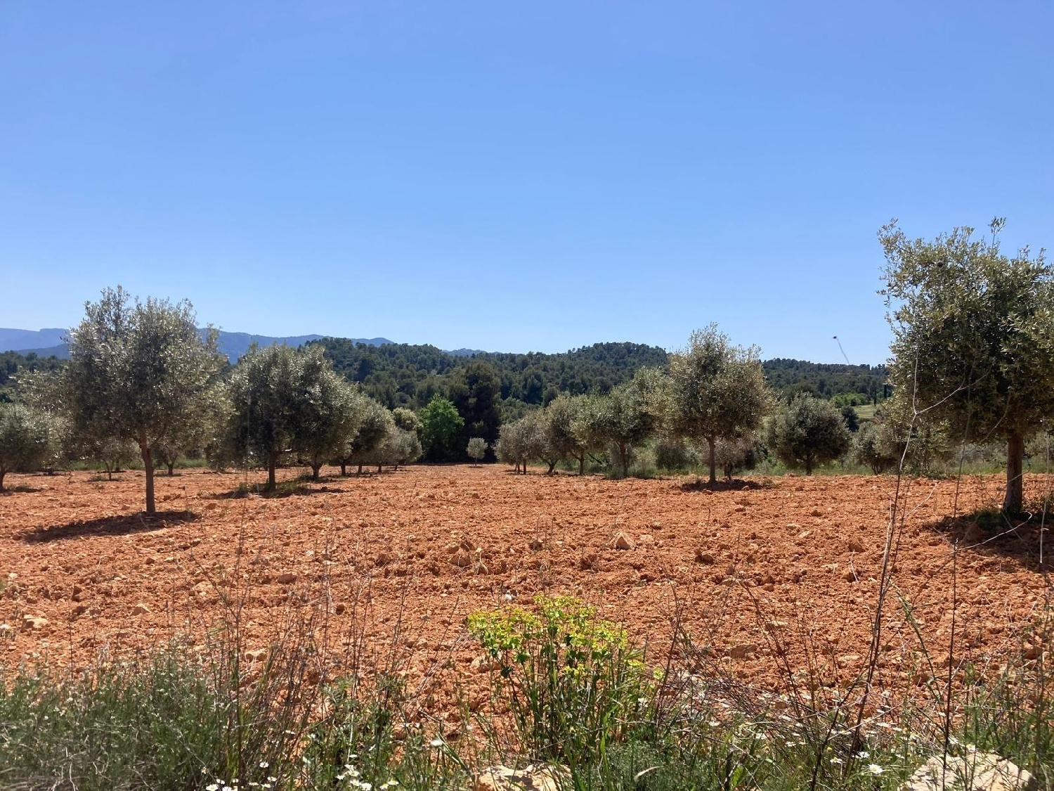  for sale country house Cretas Matarraña 4