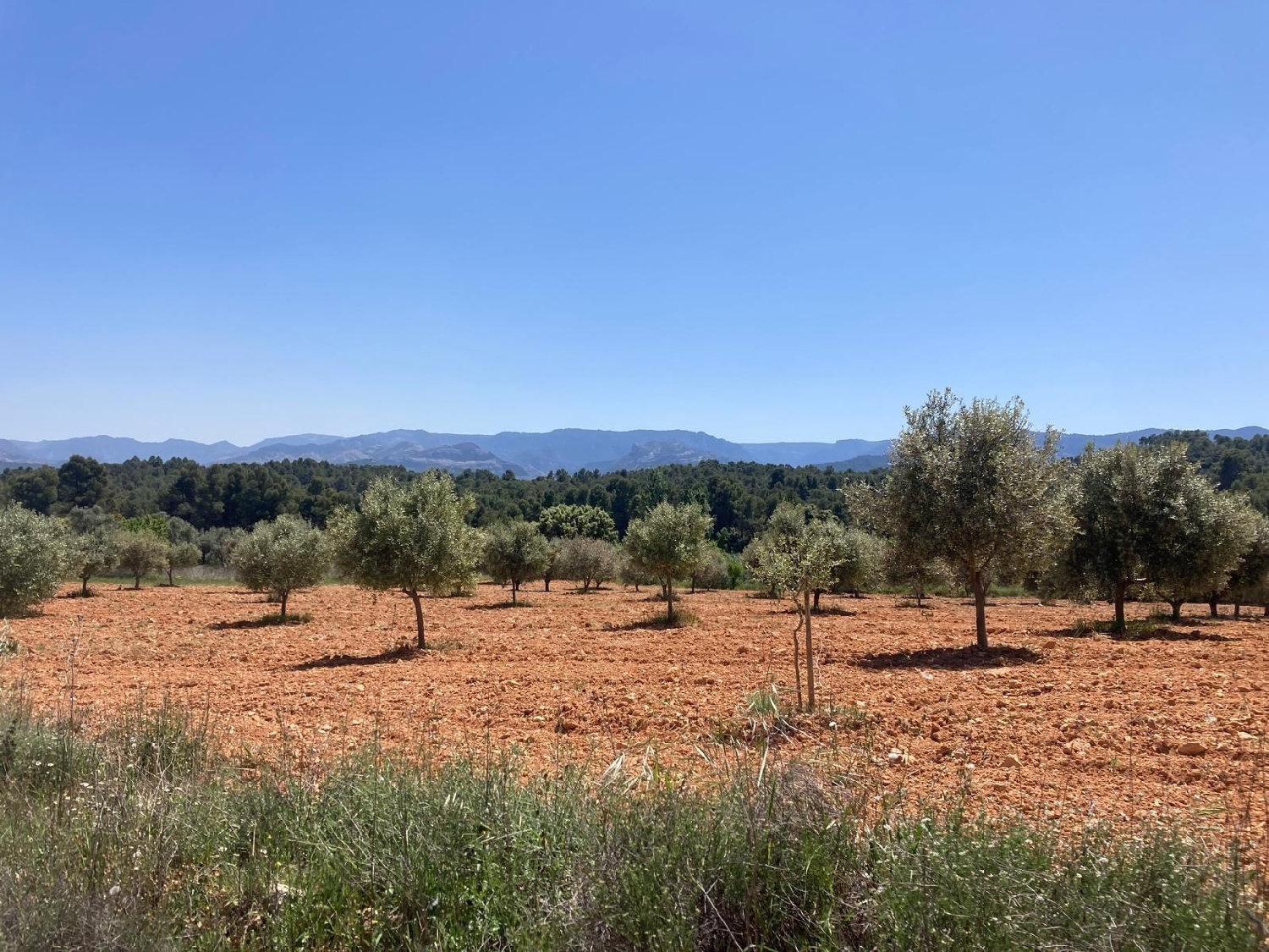  for sale country house Cretas Matarraña 1