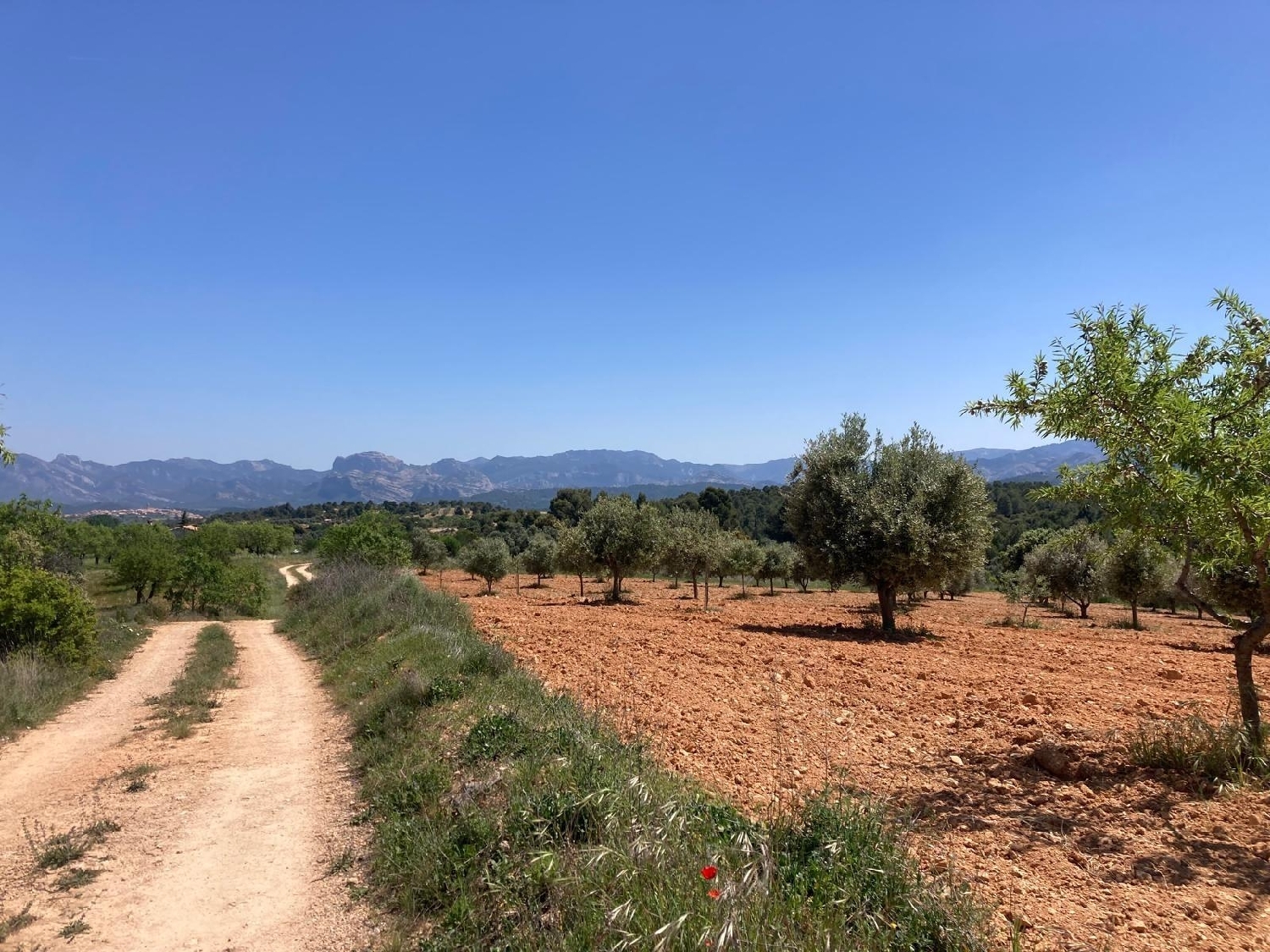  for sale country house Cretas Matarraña 5
